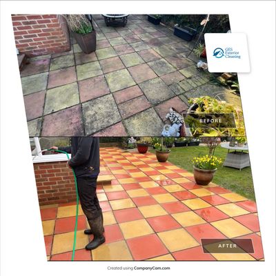 Roof Clean  - Moss Removal - Gutter Clean using Softwash Equipment
