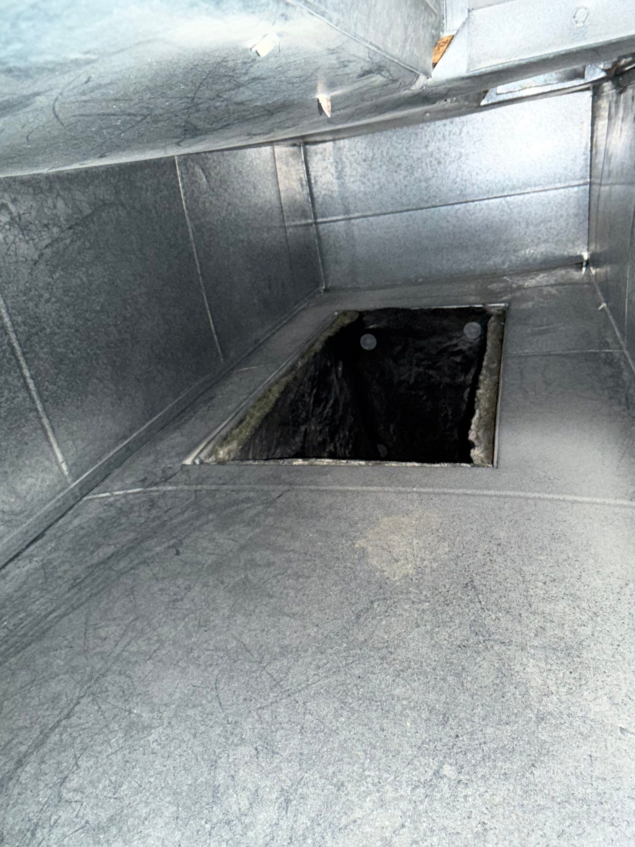 Duct Cleaning and Sanitization in Woodstock by Elemental Heating and air conditioning LLC