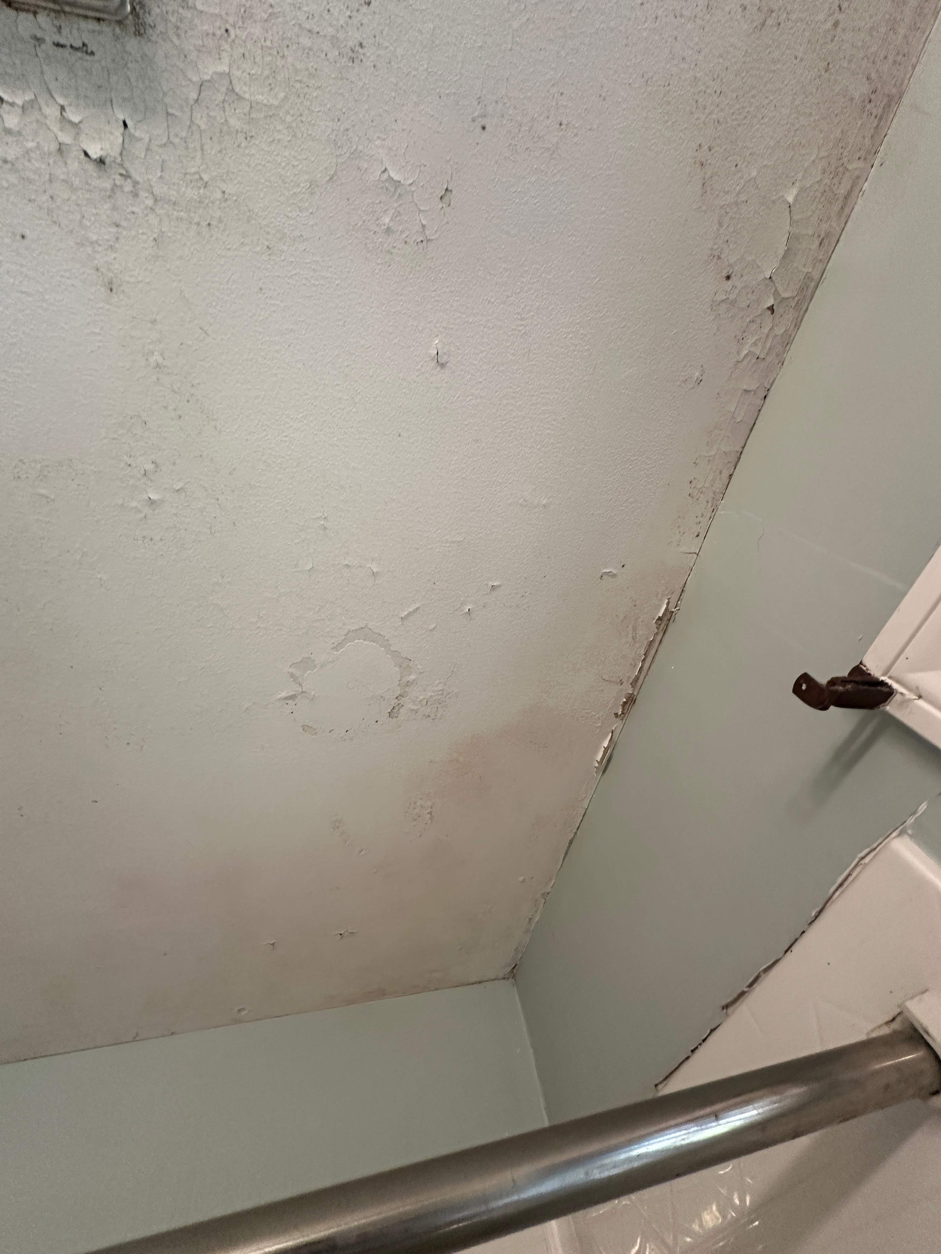 Bathroom Mold Remediation by Home Guarantee, LLC