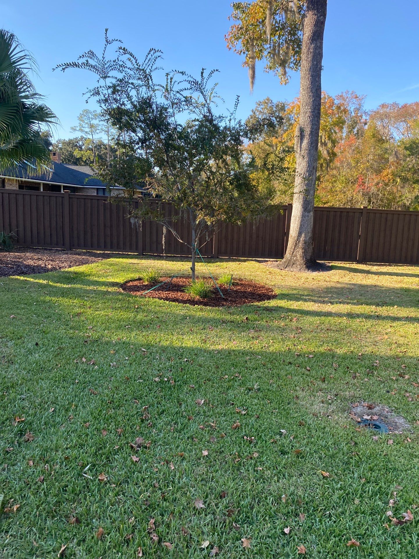 Deerwood Resident | Extreme Clean Up by ProGreen Services