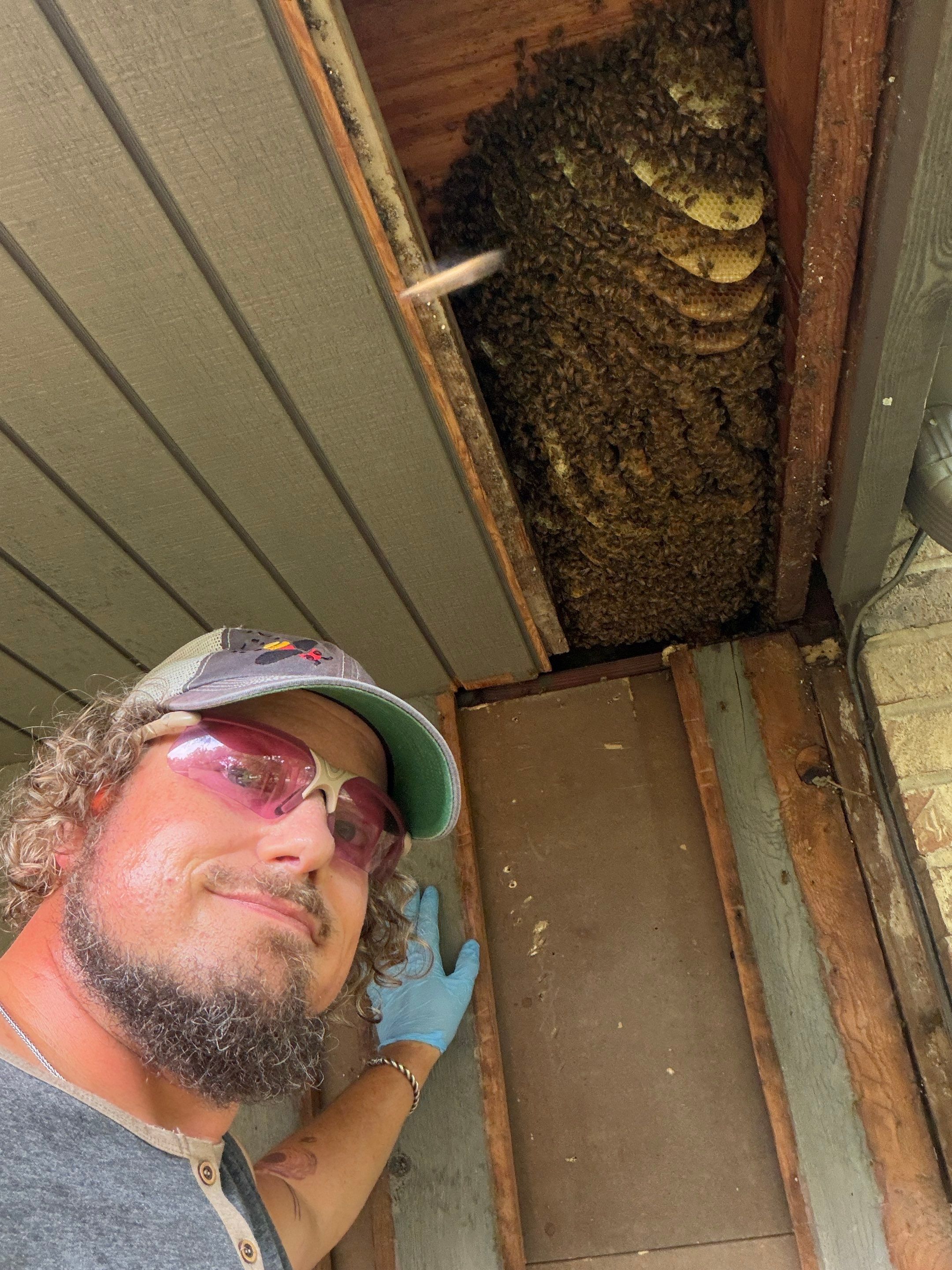 Love this house! by Rockwall Honey Bee Company
