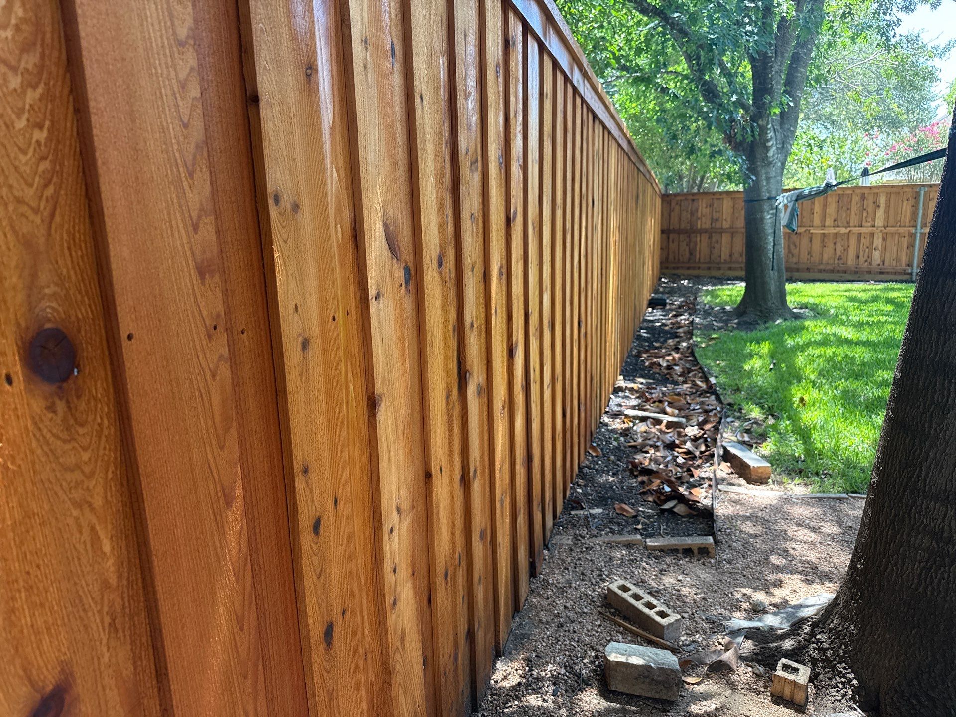 Cedar Privacy Fence Stain in Round Rock by Rhino Home Care