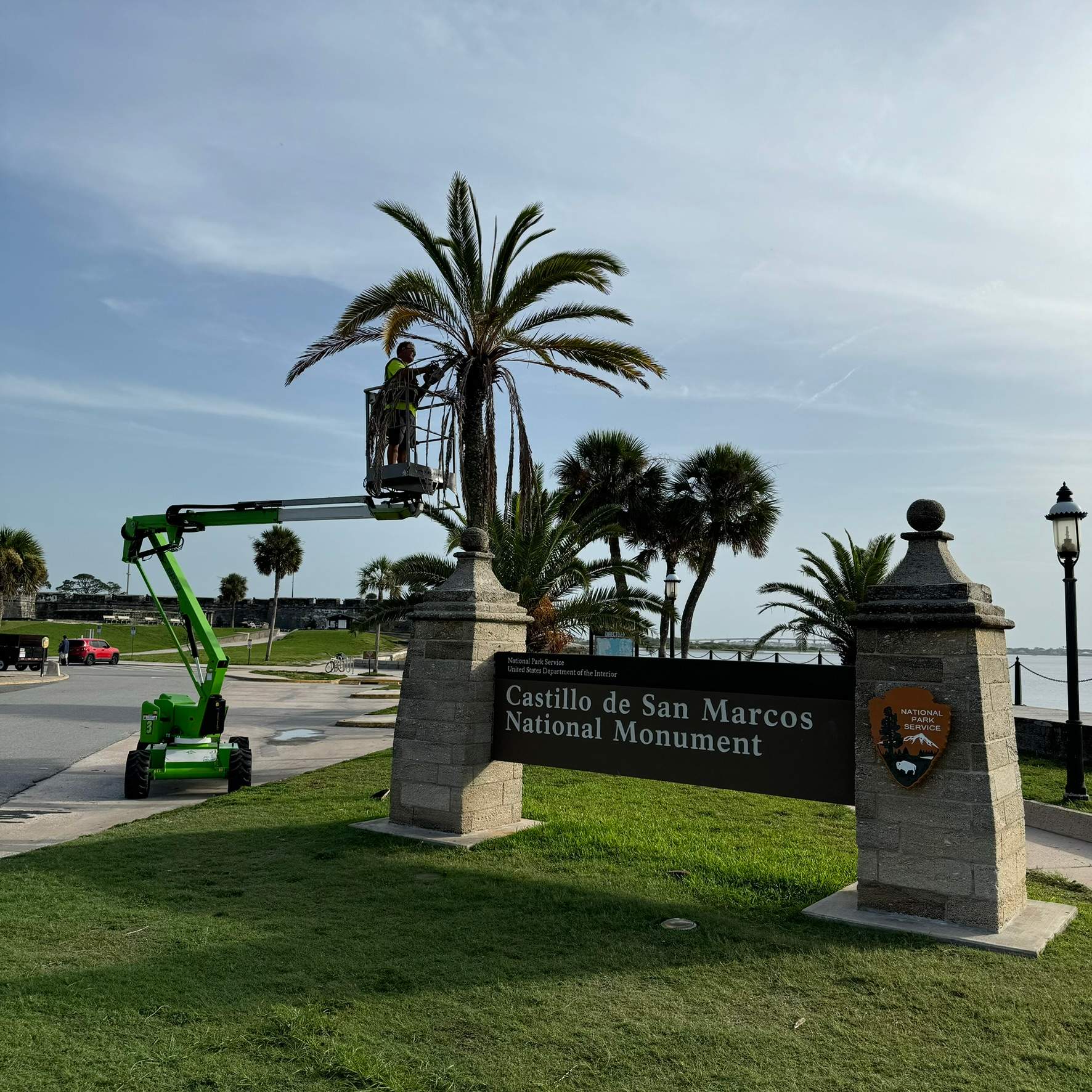 Tree Work | Castillo de San Marcos National Monument 2 by ProGreen Services