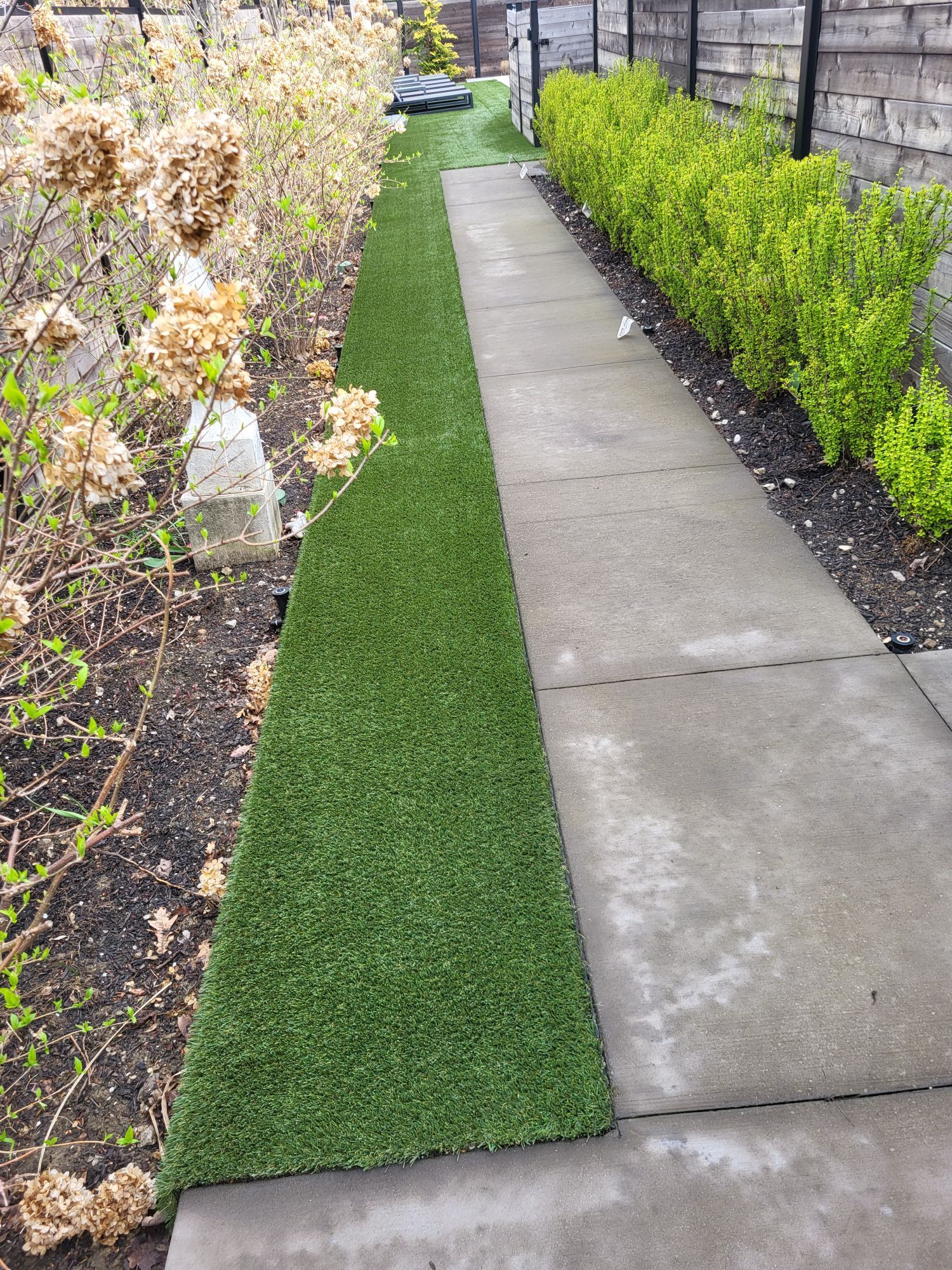Full turf yard in Columbus, OH by Southwest Greens Midwest