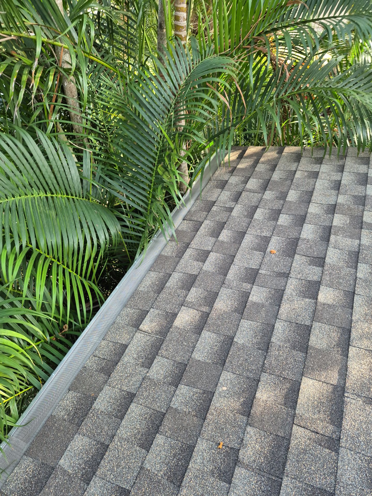 Project in St. Petersburg 33713 by Mitchell Roofing Company LLC 