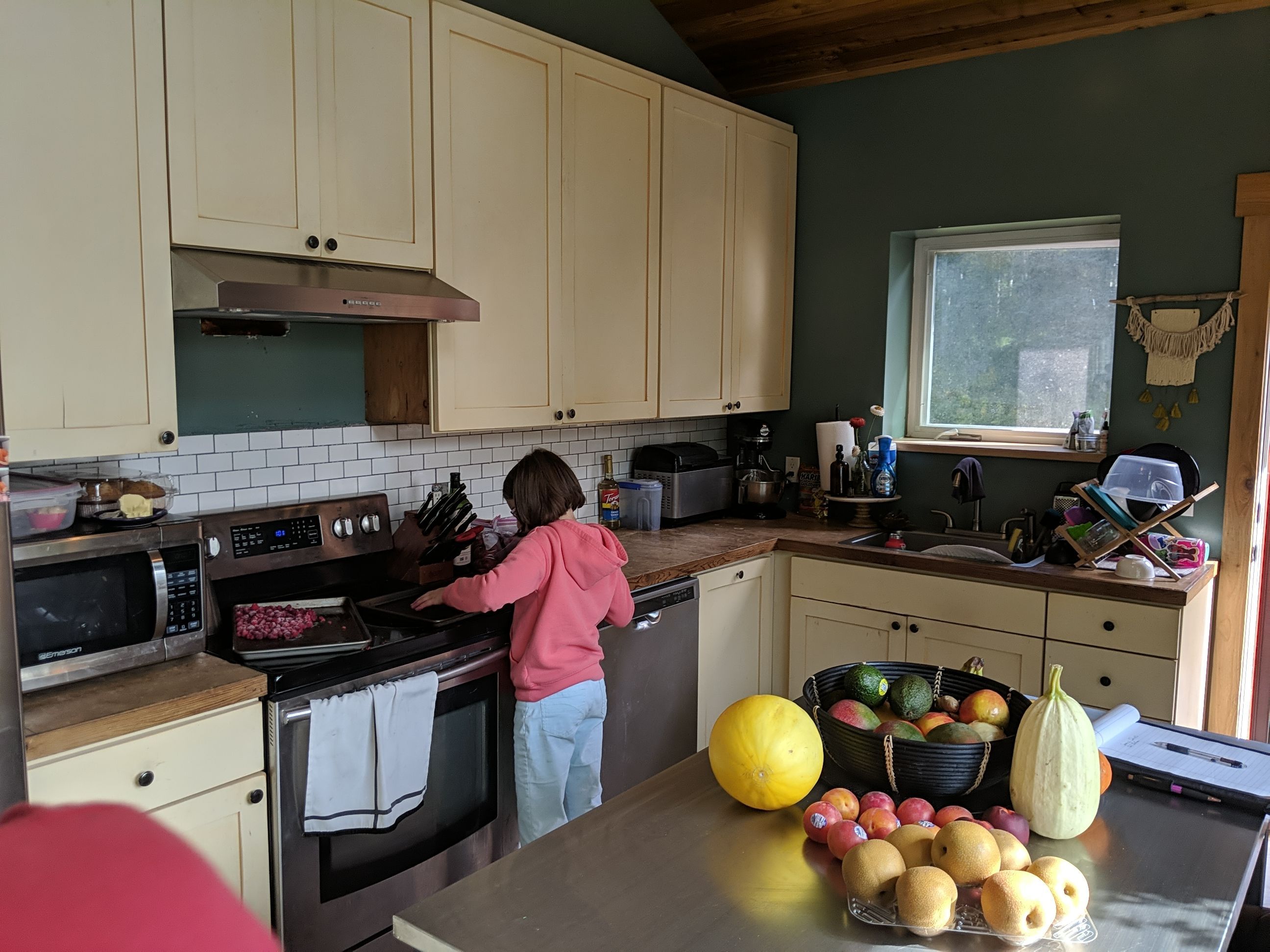 Kitchen Cabinet & Wall Painting by Midnight Sun Painting