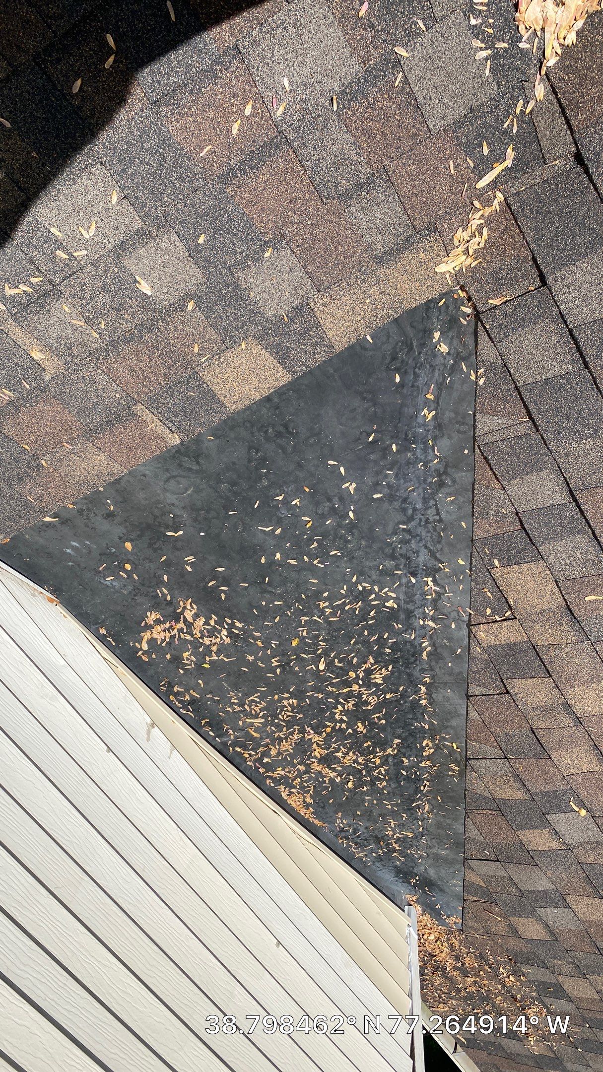 Burke: CertainTeed Landmark Pro Designer Shingles in Max Def Shenandoah by RM Banning, Inc.