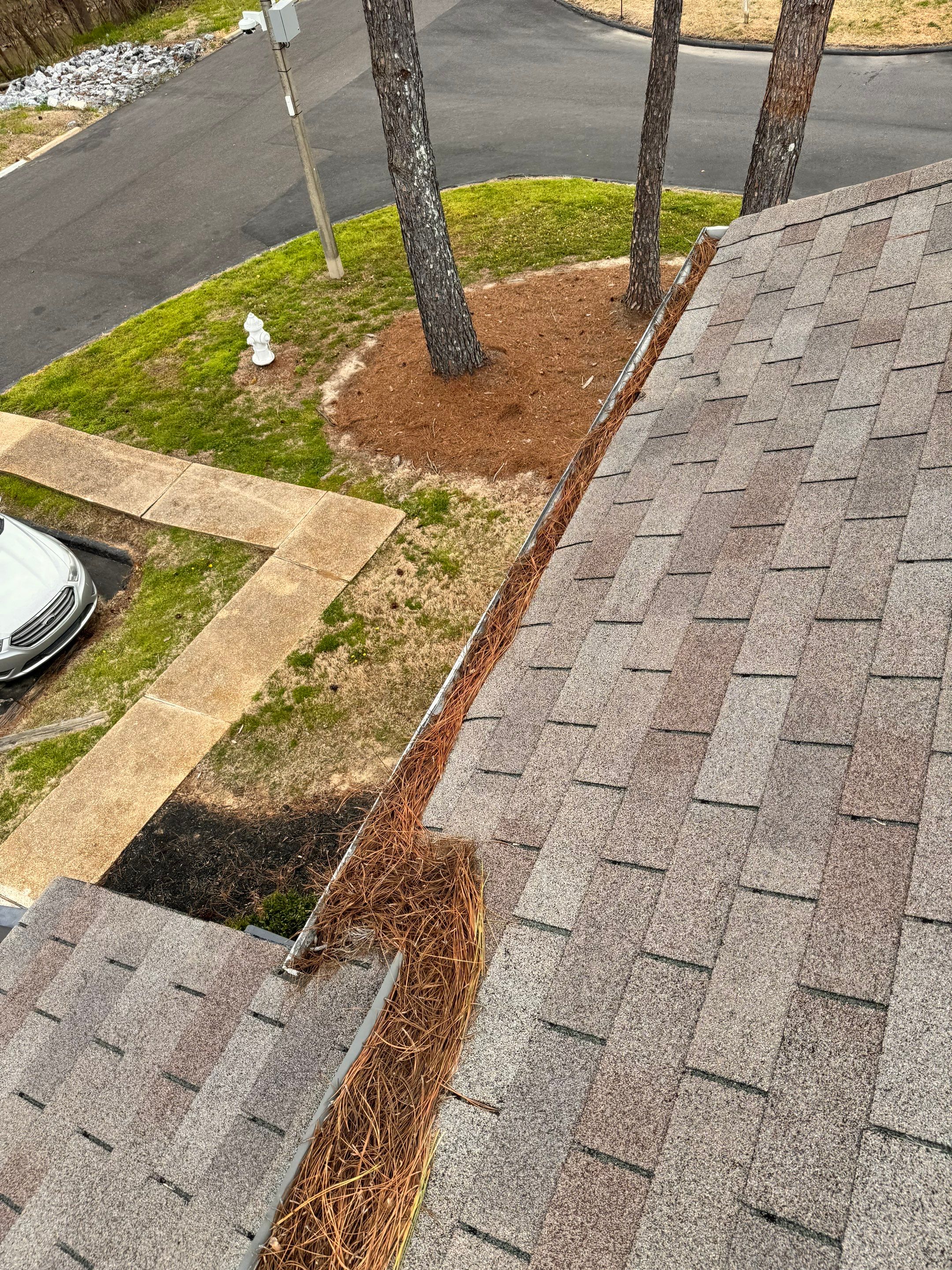 Commercial gutter cleaning Jackson before photo with filled gutters
