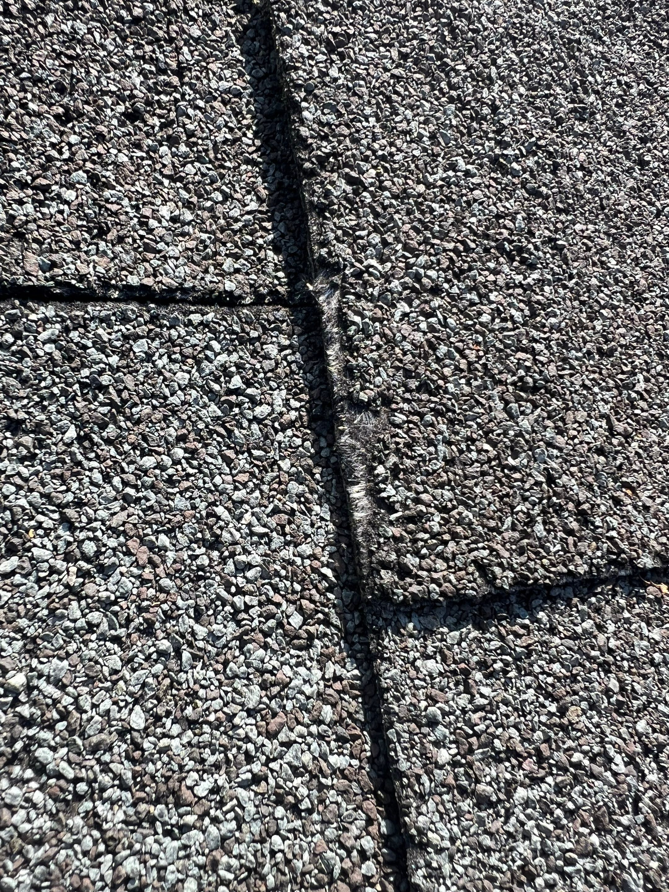 Roofing | Lowell by Mighty Dog Roofing of Greater Middlesex County
