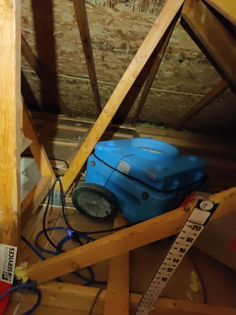 Mold Remediation Cleanup in Attic by Accountable Home Services