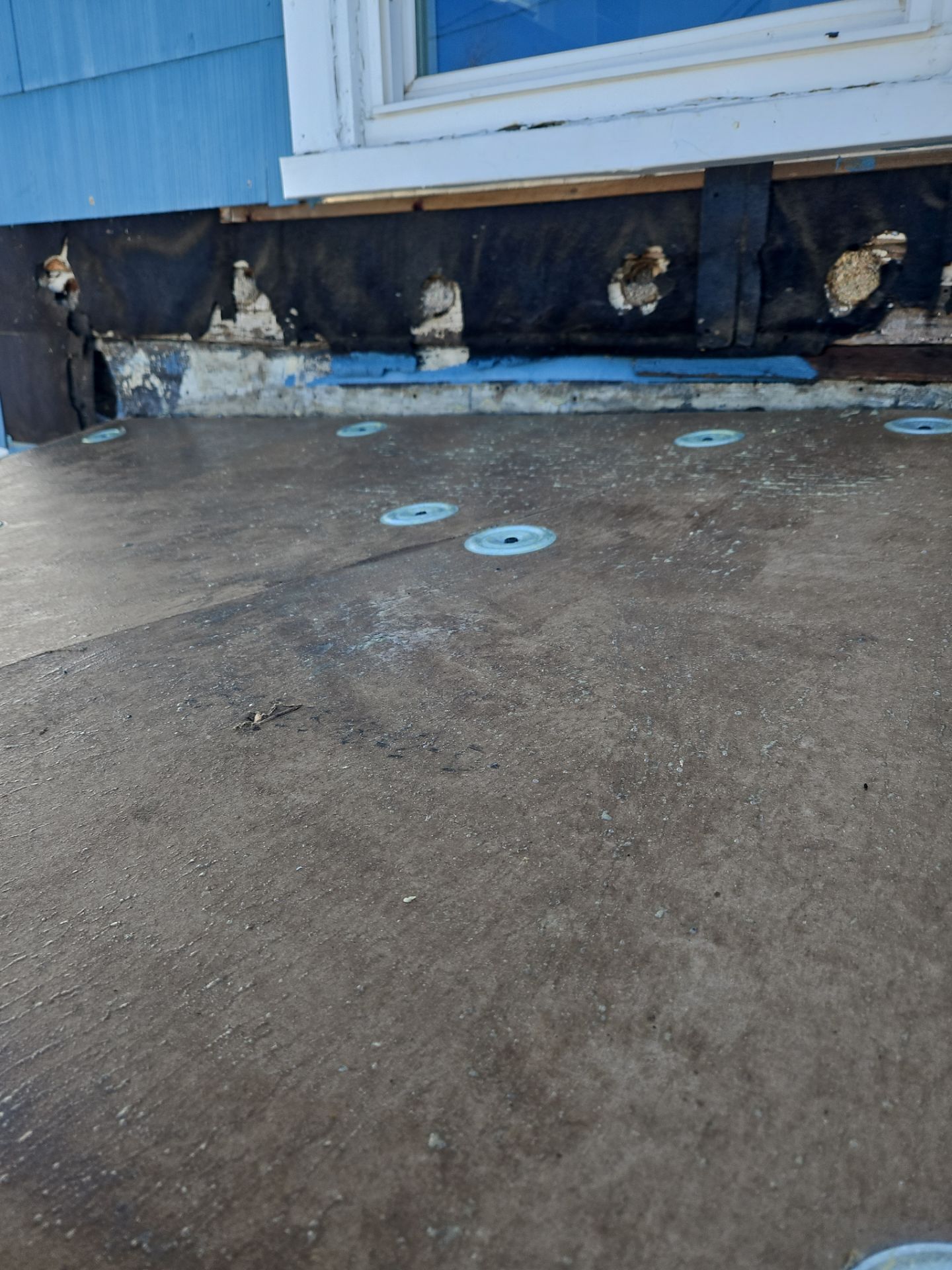 Asphalt & Flat roofing | Haverhill by Mighty Dog Roofing of Greater Middlesex County