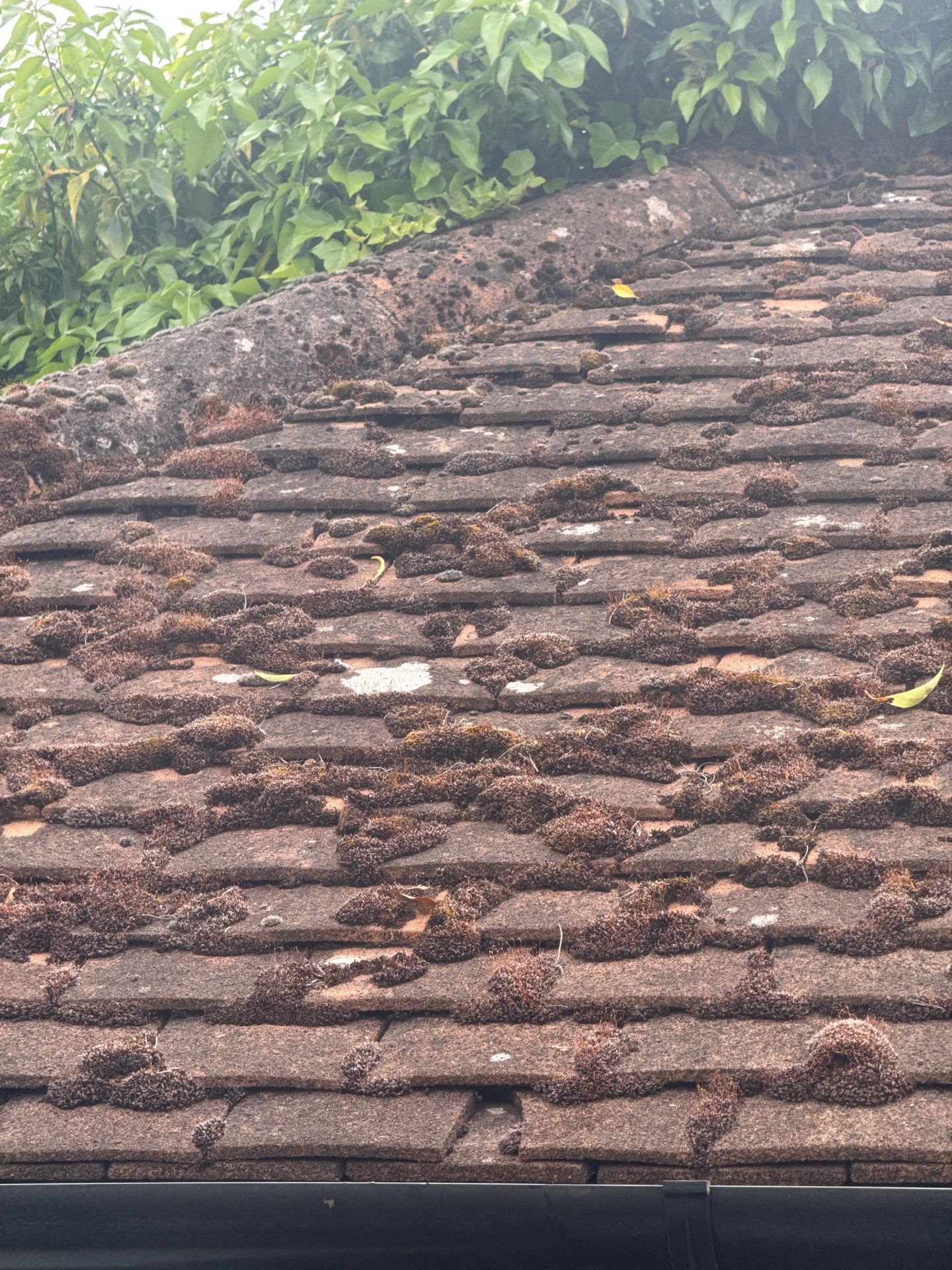 Roof Clean  - Moss Removal - Gutter Clean using Honda 15lpm Low Pressure Washing Machine by Ges Exterior Cleaning ltd