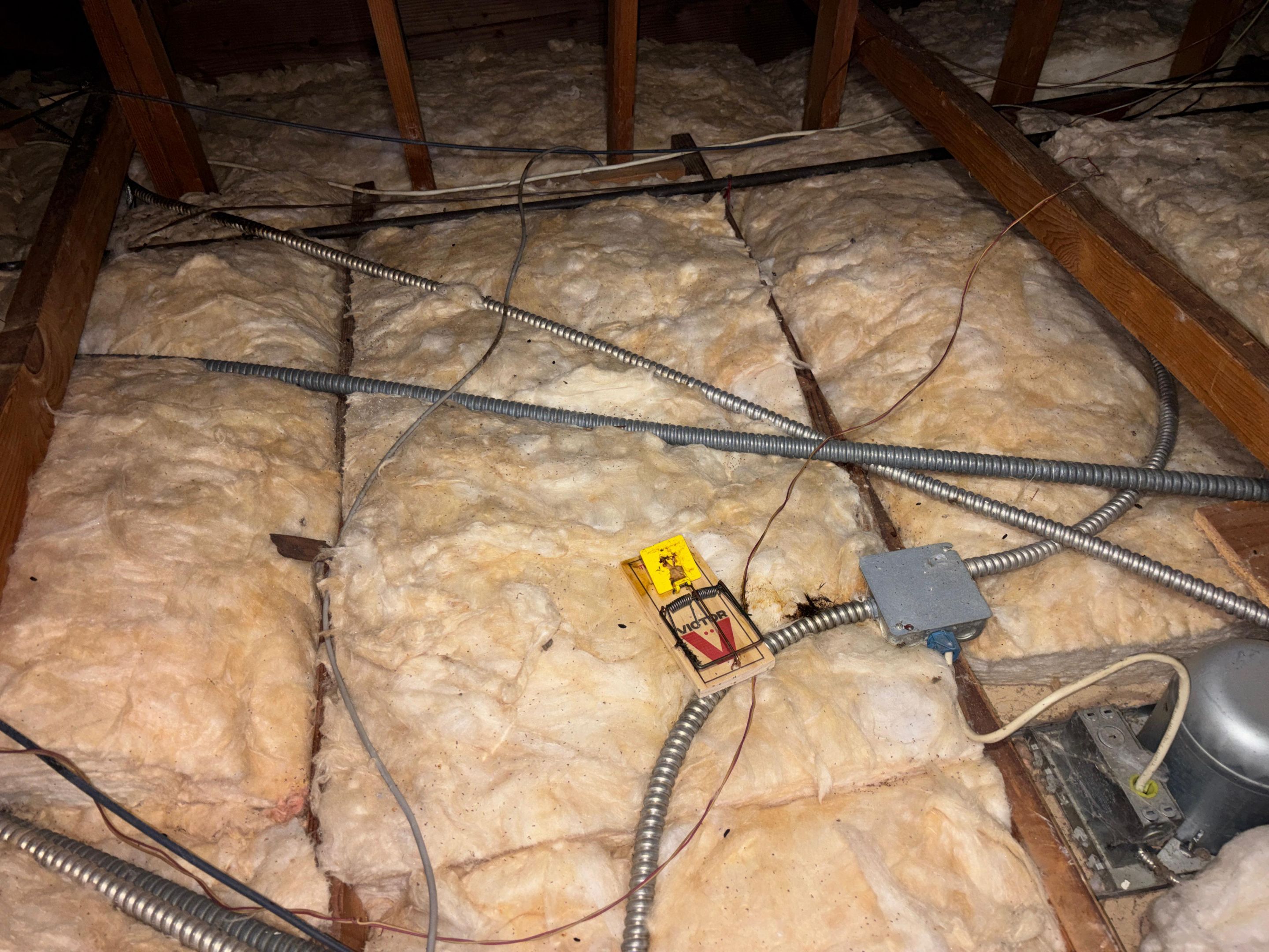 Project in Beverly Hills by Insulation Labs