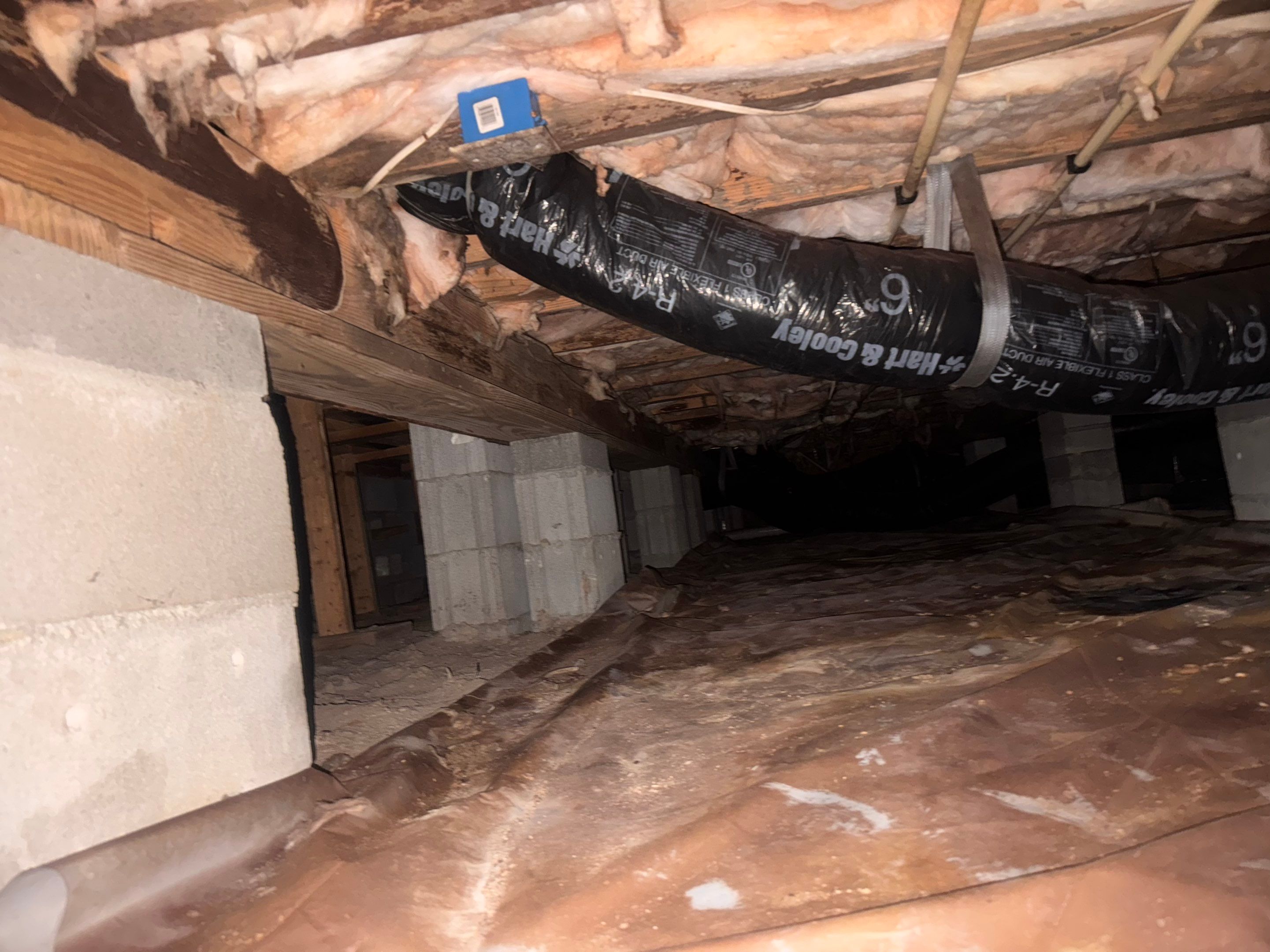 Moisture Barrier, Mold Clean, Structural Repair, Dehumidifier, R19 Insulation. by Impact Crawlspace