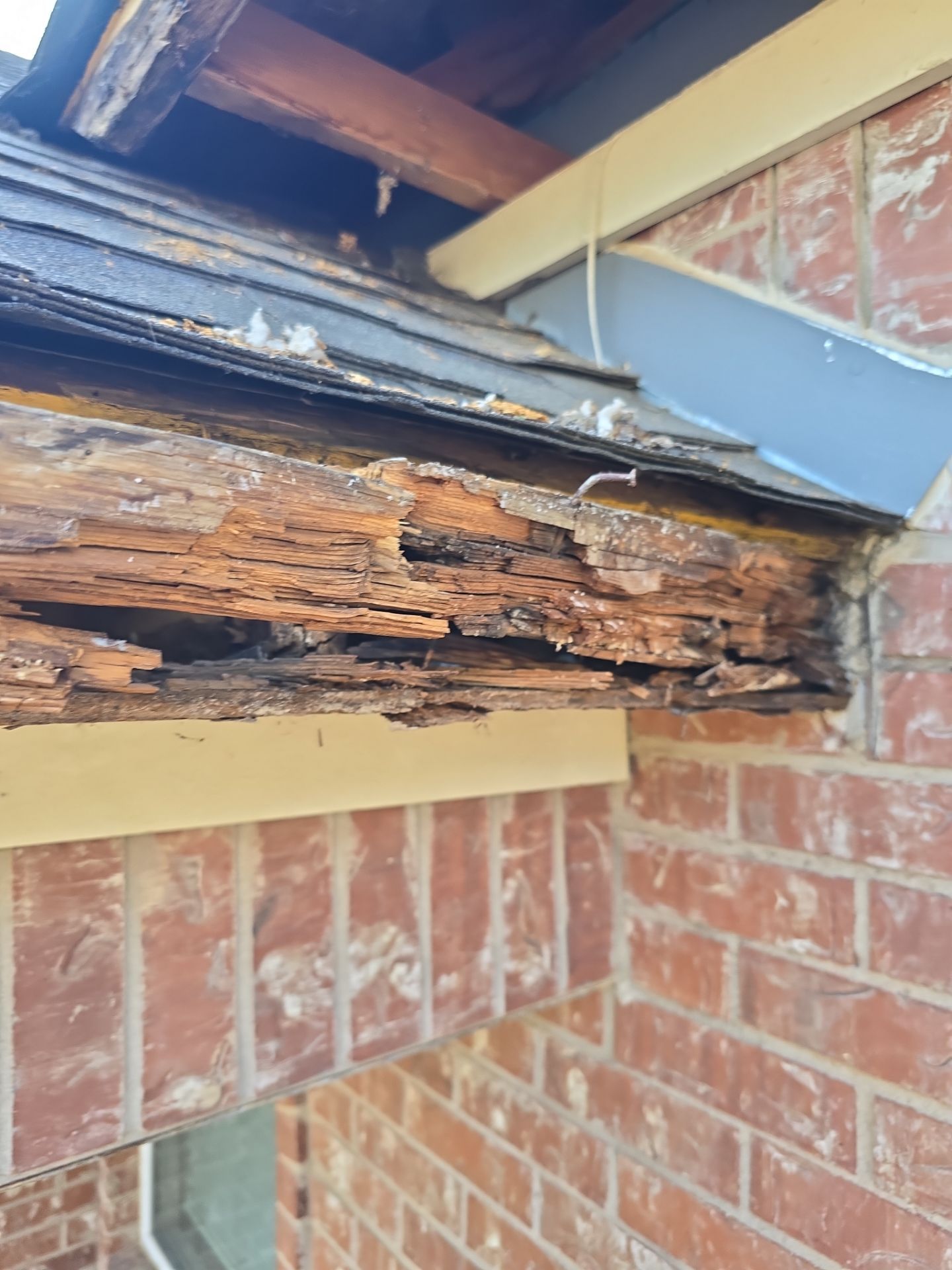 Dog Door Replacement by First Out Roofing 