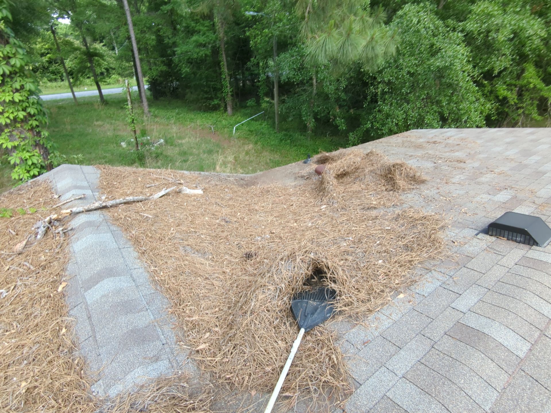 Exterior Clearing - tree trimming - grass cut by Swift Signings and Services LLC