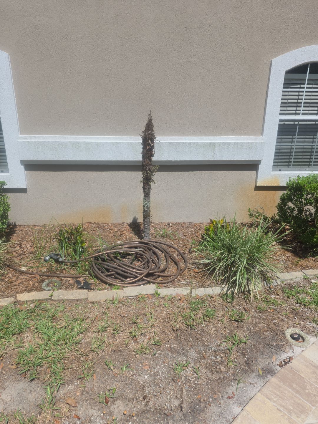 Deerwood Resident | Sod Install by ProGreen Services