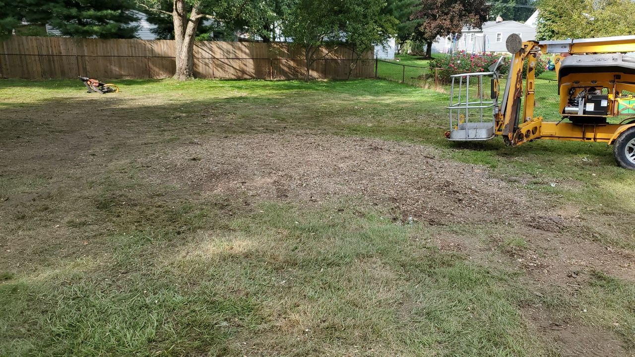 Tree Removal by Mike Jones & Sons Tree Service LLC 