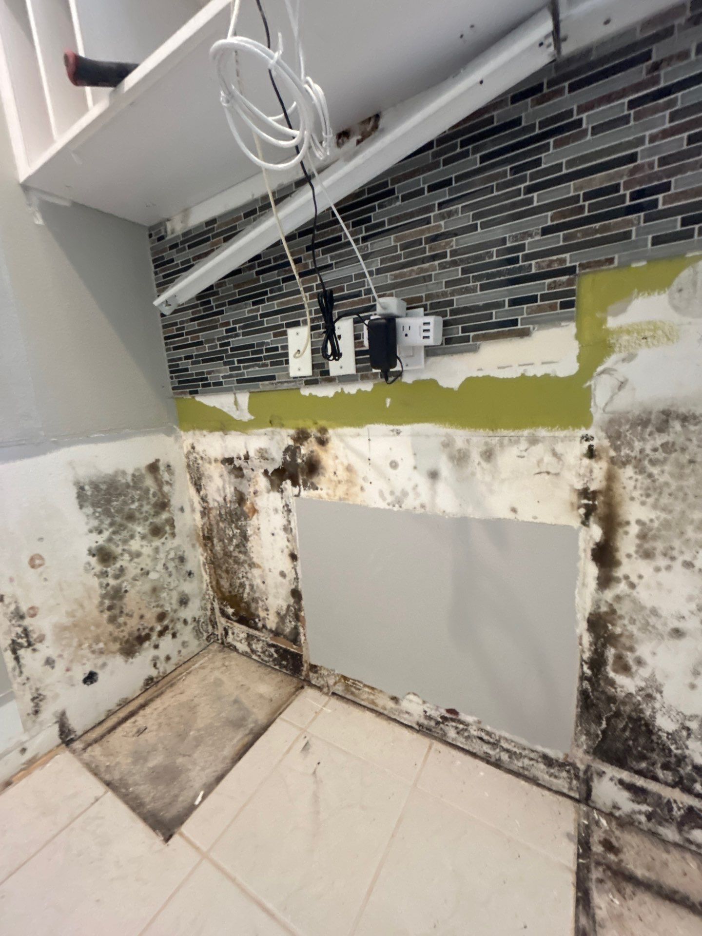 Mold Remediation by Ampm Restoration Services