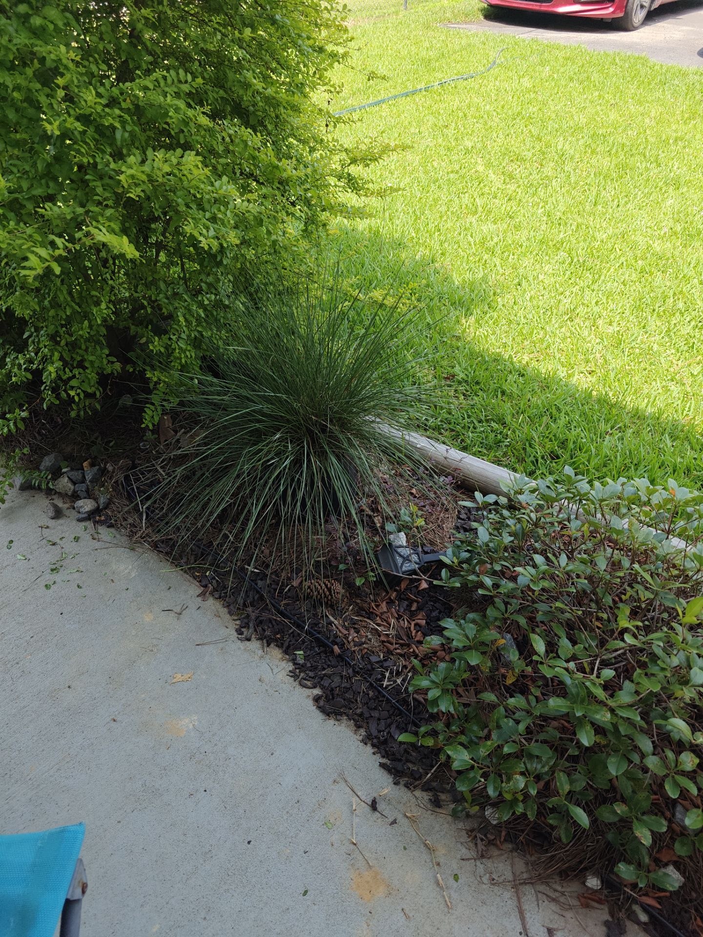 Weekly Landscaping  by College Bros Outdoor services