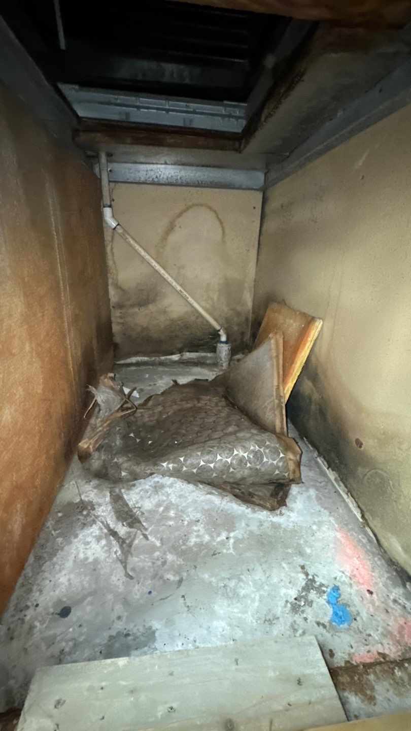 Commercial Air Duct Cleaning in Tavares by Hygienic Air, Inc