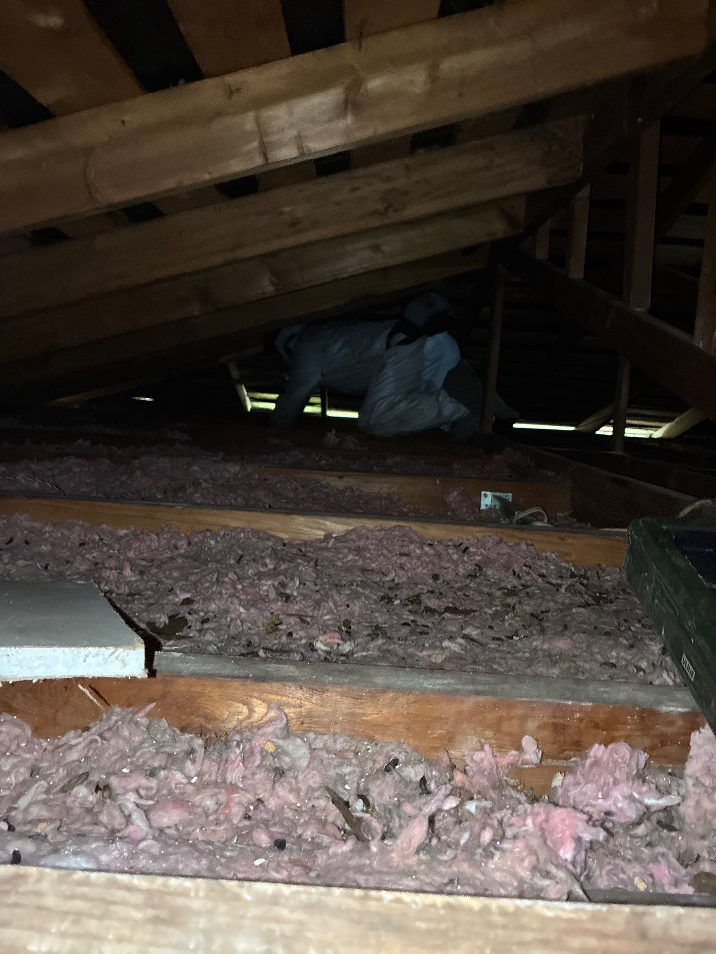 Project in Sacramento by 911 Hazmat Cleanup
