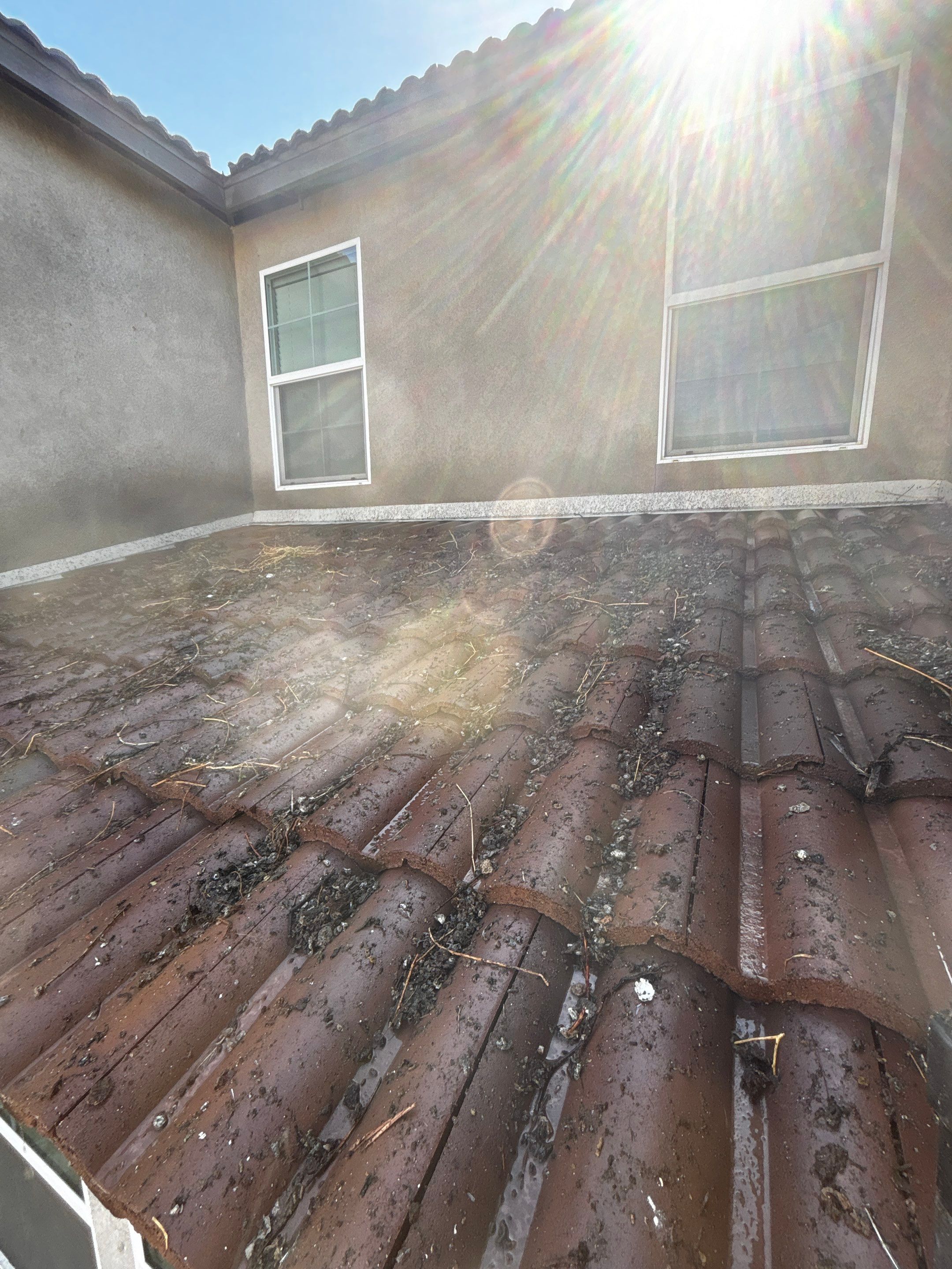Solar Panel Bird Proofing in Fontana Ca by Palm Coast Solar Cleaning