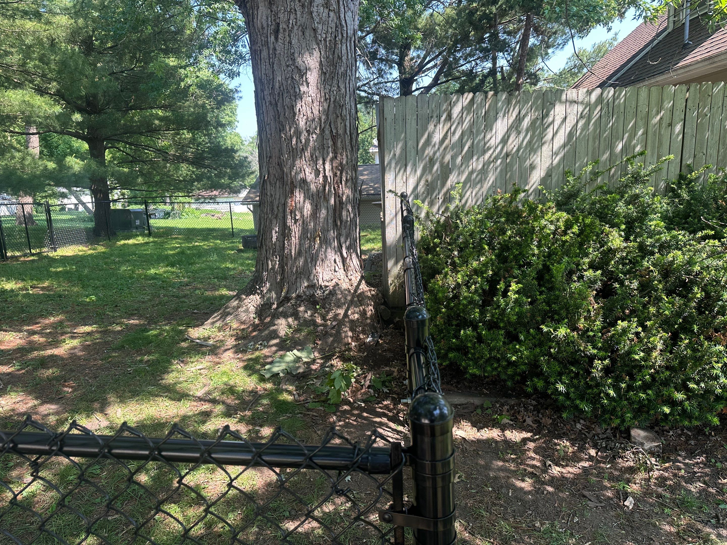 Project in Cedar Falls by Perfect Picket Fence and Stain