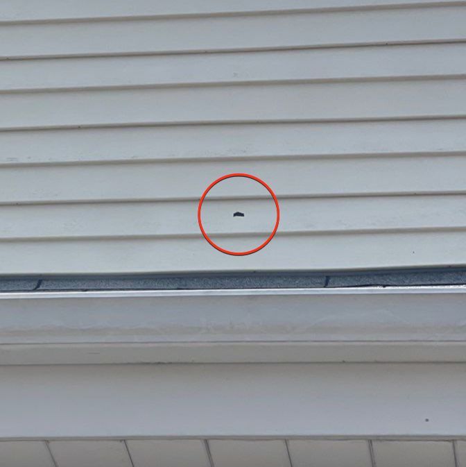 Roof and siding replacement by wind damage by Just Brilliant Restoration JBR