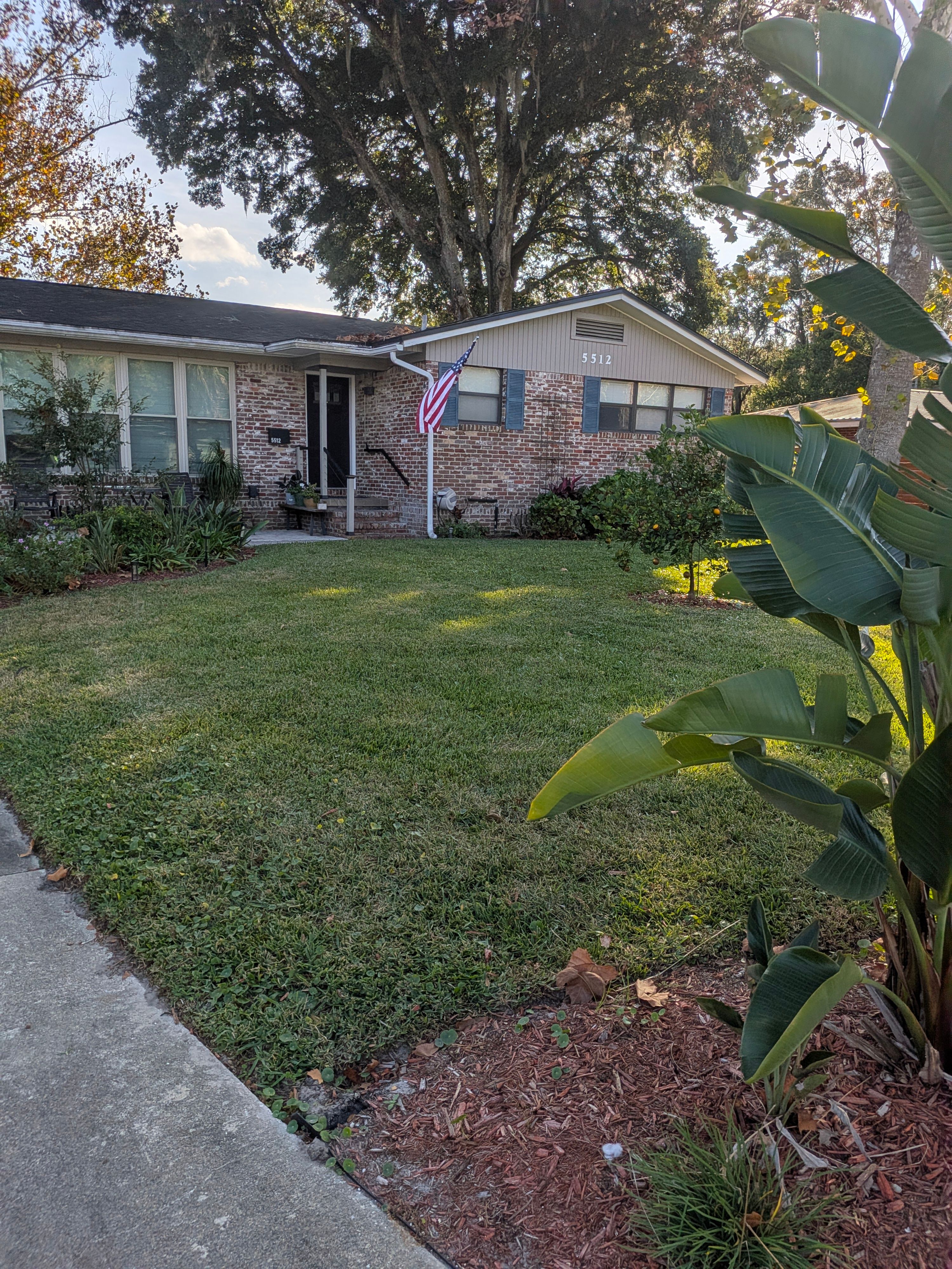 Large-Scale Leaf Removal & Property Cleanup — Jacksonville, FL (Arlington Area) by Harmoni Home Services