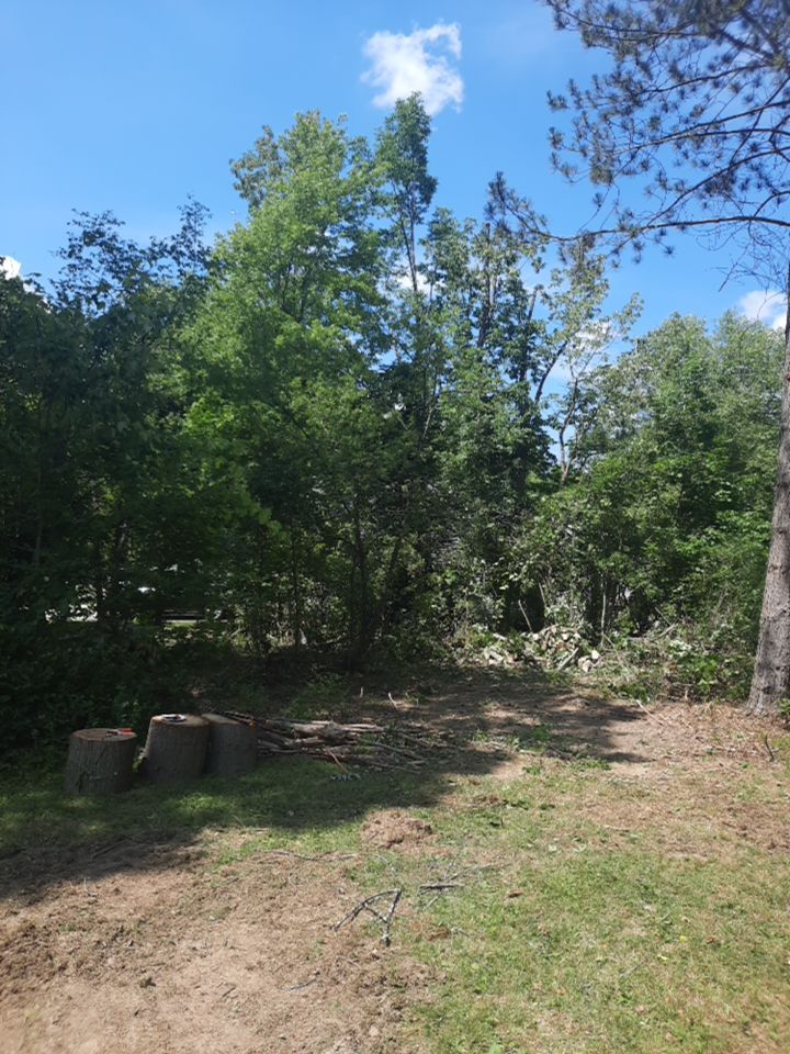 Tree Removal using Tree Removal by Mike Jones & Sons Tree Service LLC 