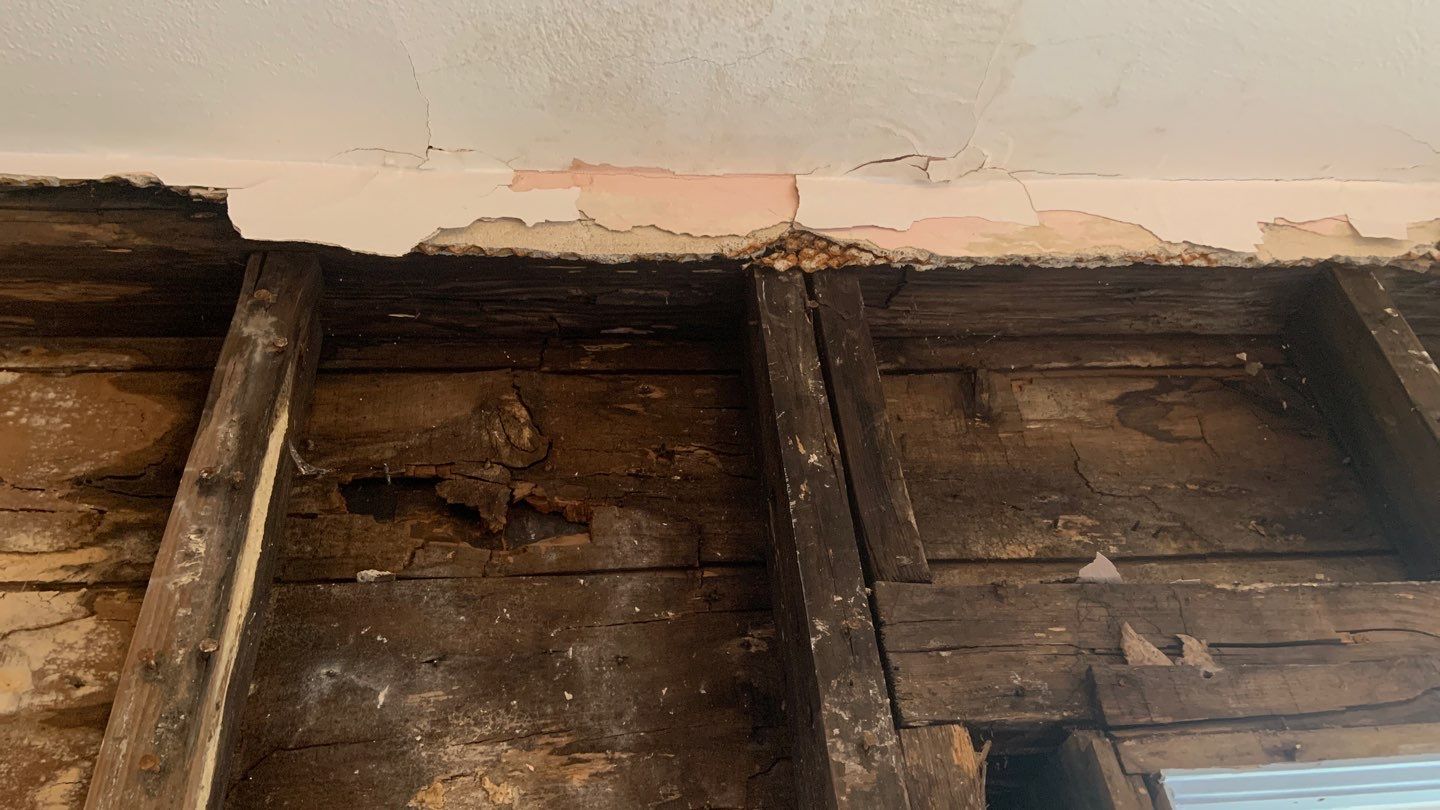 Roof/Siding Leak by Chicagoland Water Medics