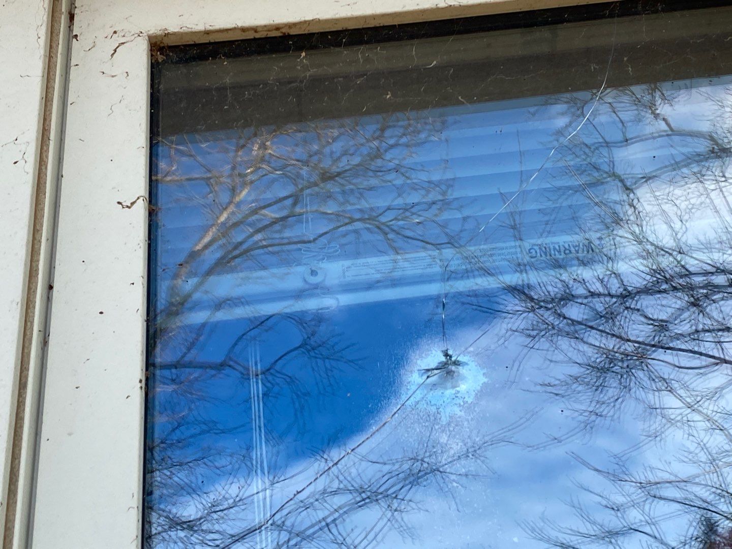 Siding Installation using Certainteed Mainstreet Forest Green by A Plus Exterior