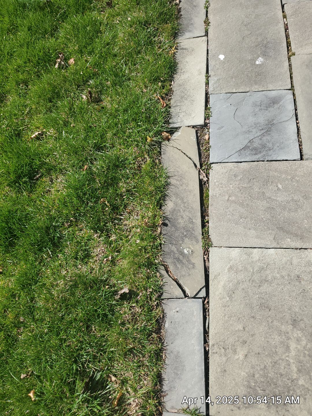bluestone using Algaecide, soft wash soap by Northern Power Washing LLC.