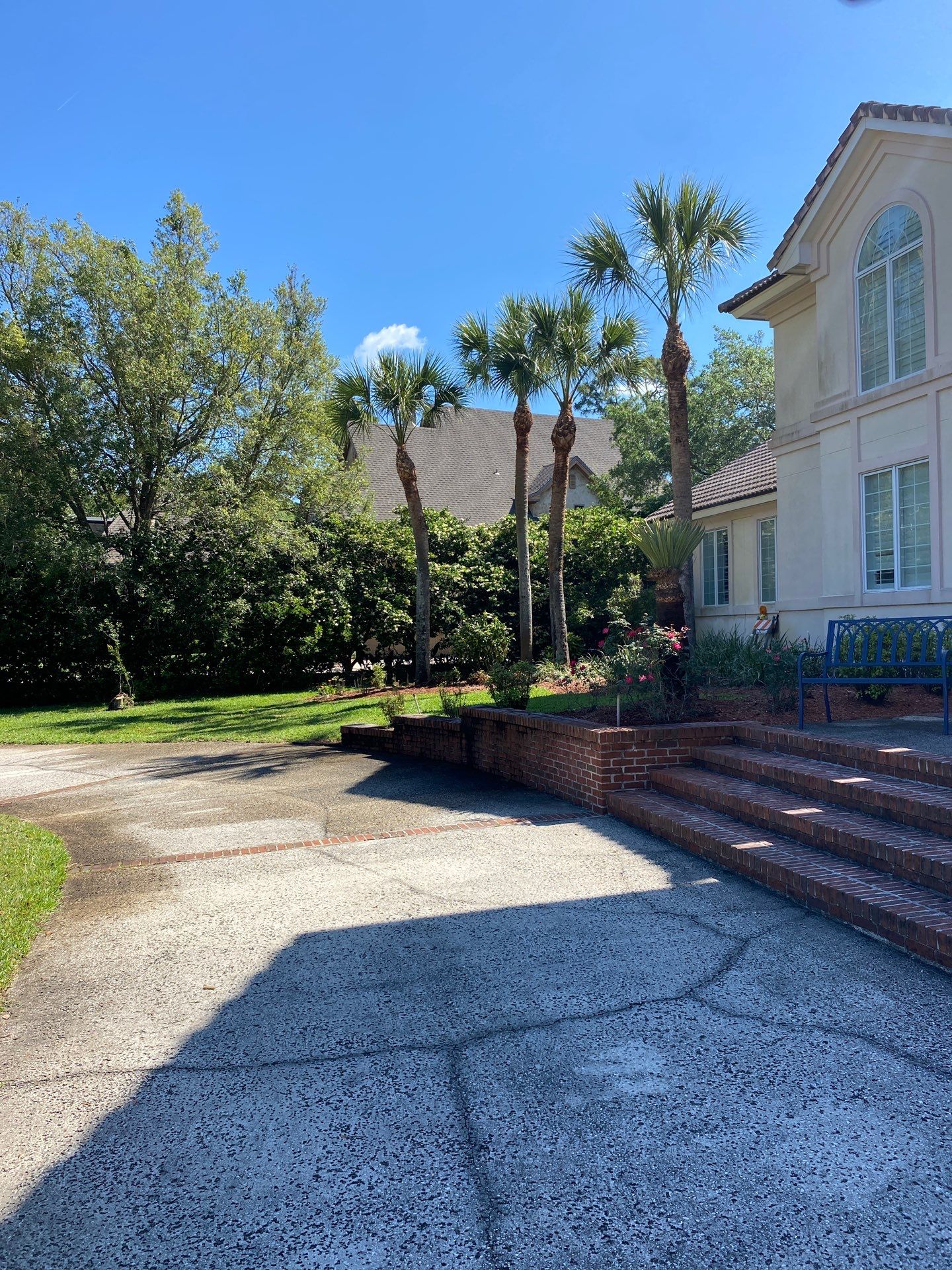 Deerwood Resident | Palm Tree Trimming & Clean-Up by ProGreen Services