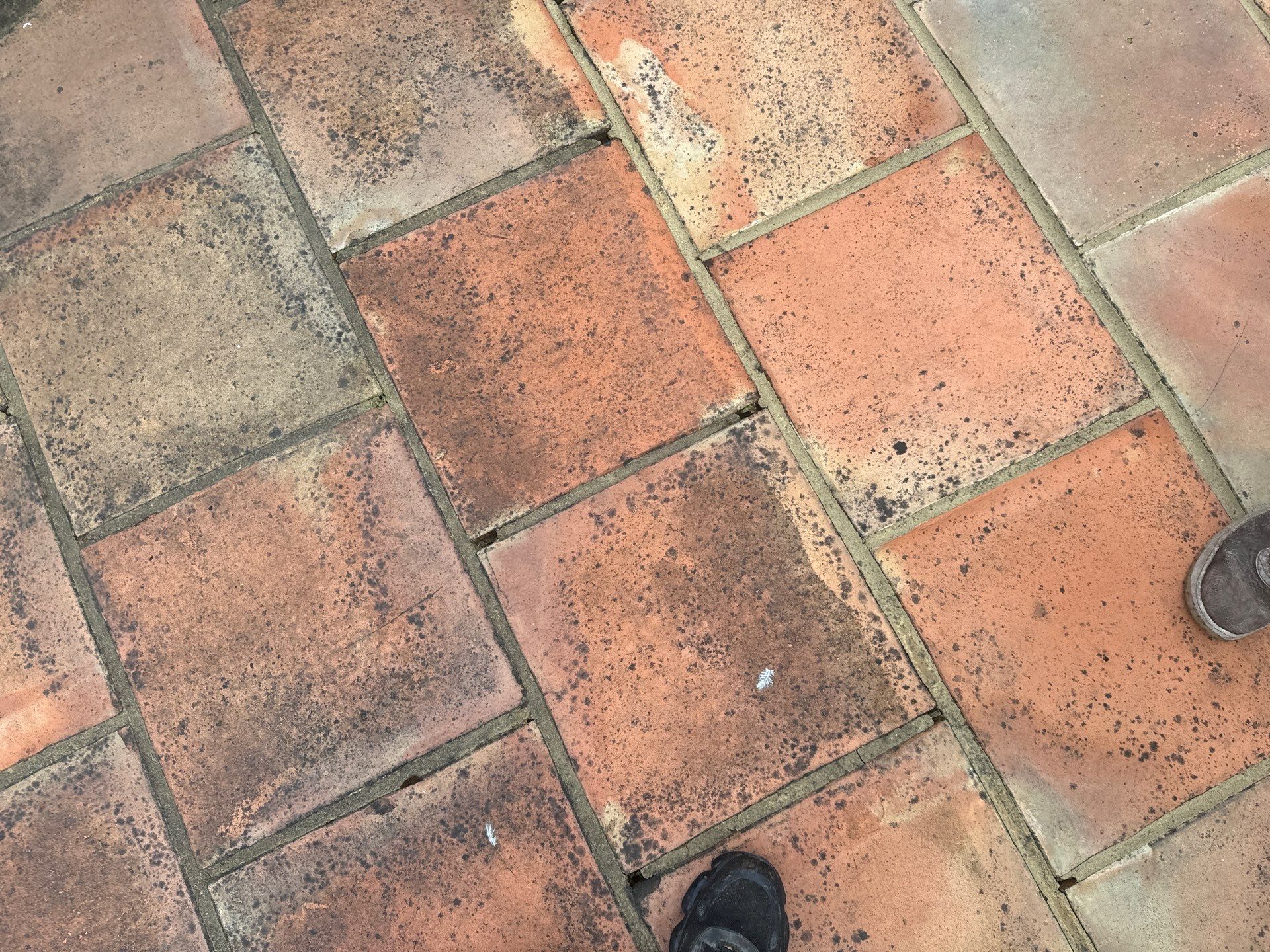 Roof and Patio Cleaning using Honda 15lpm Low Pressure Washing Machine by Ges Exterior Cleaning ltd