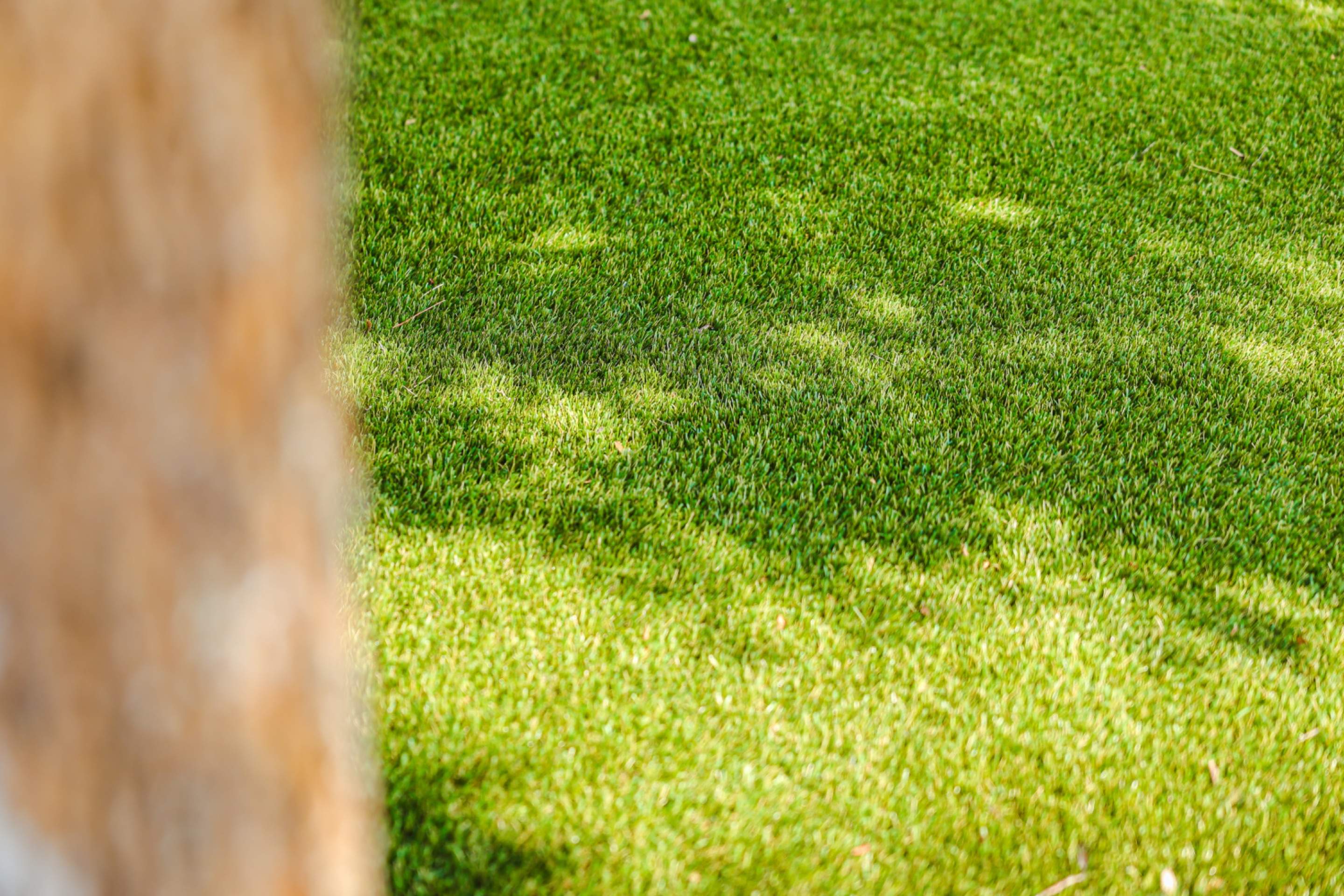 Far West Side, San Antonio Tx. by Hole In One Lawns, LLC