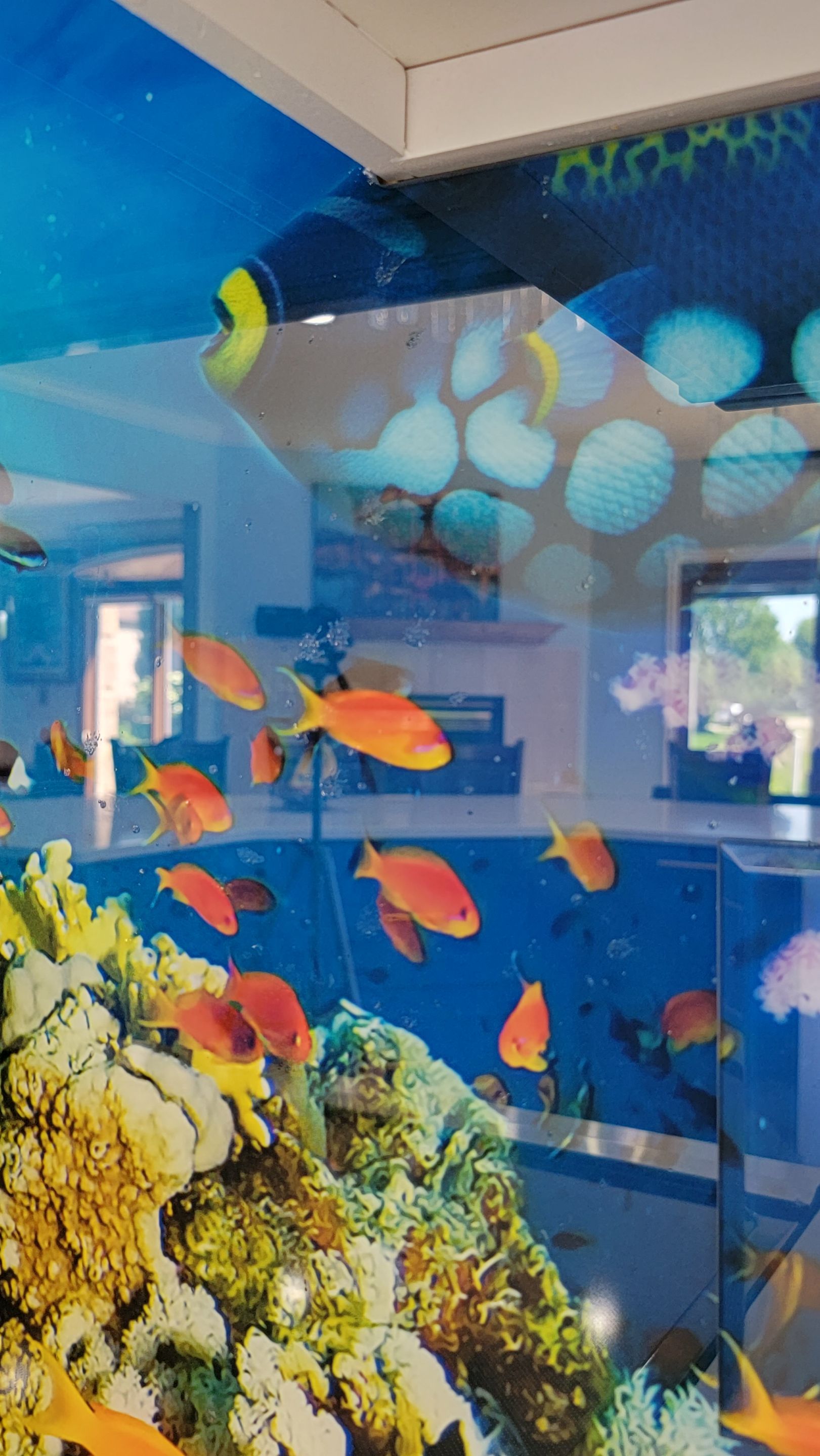 IMAGIO under the sea solid glass kitchen backsplash by IMAGIO