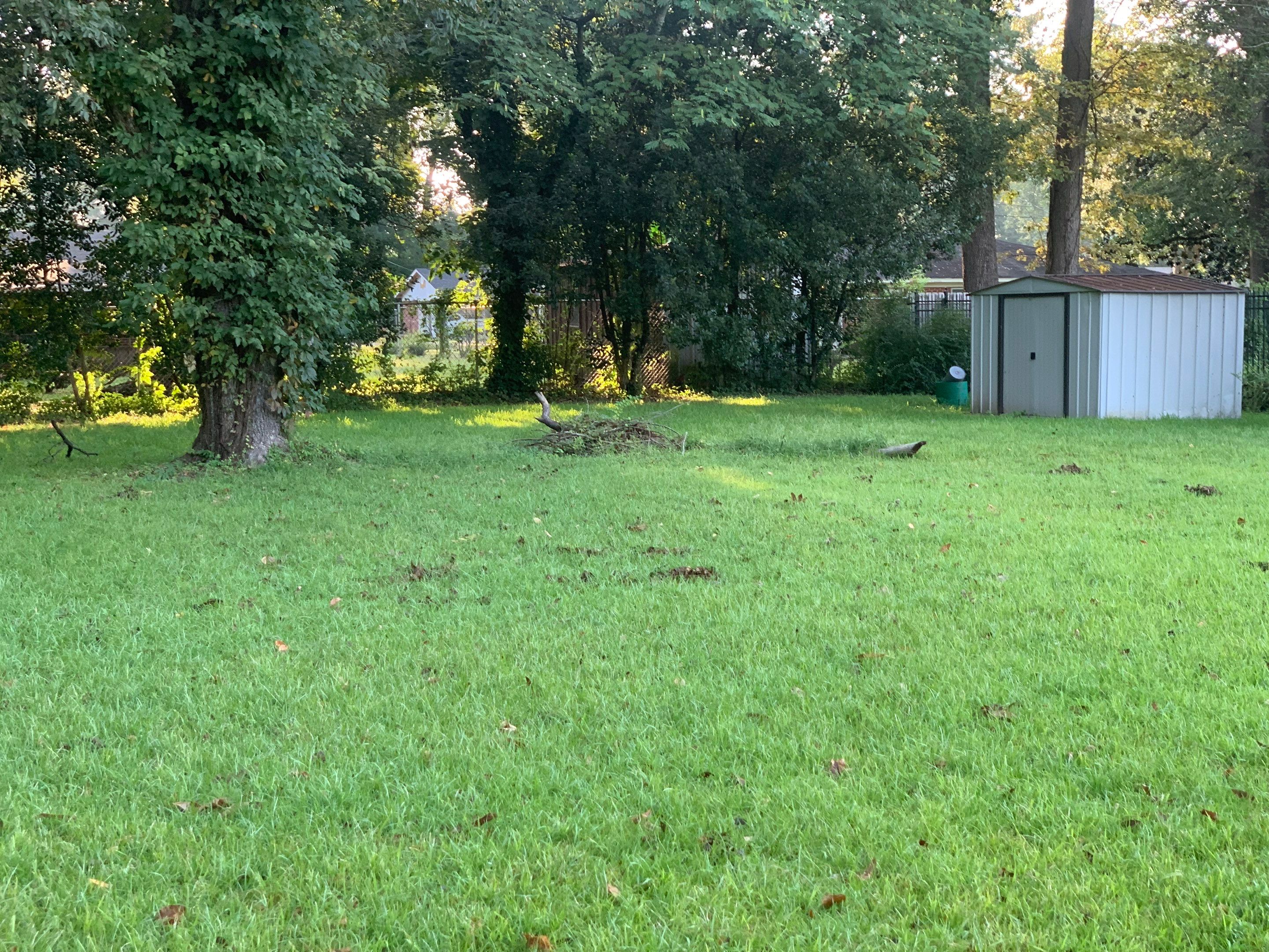 Yard Makeover by College Bros Outdoor services