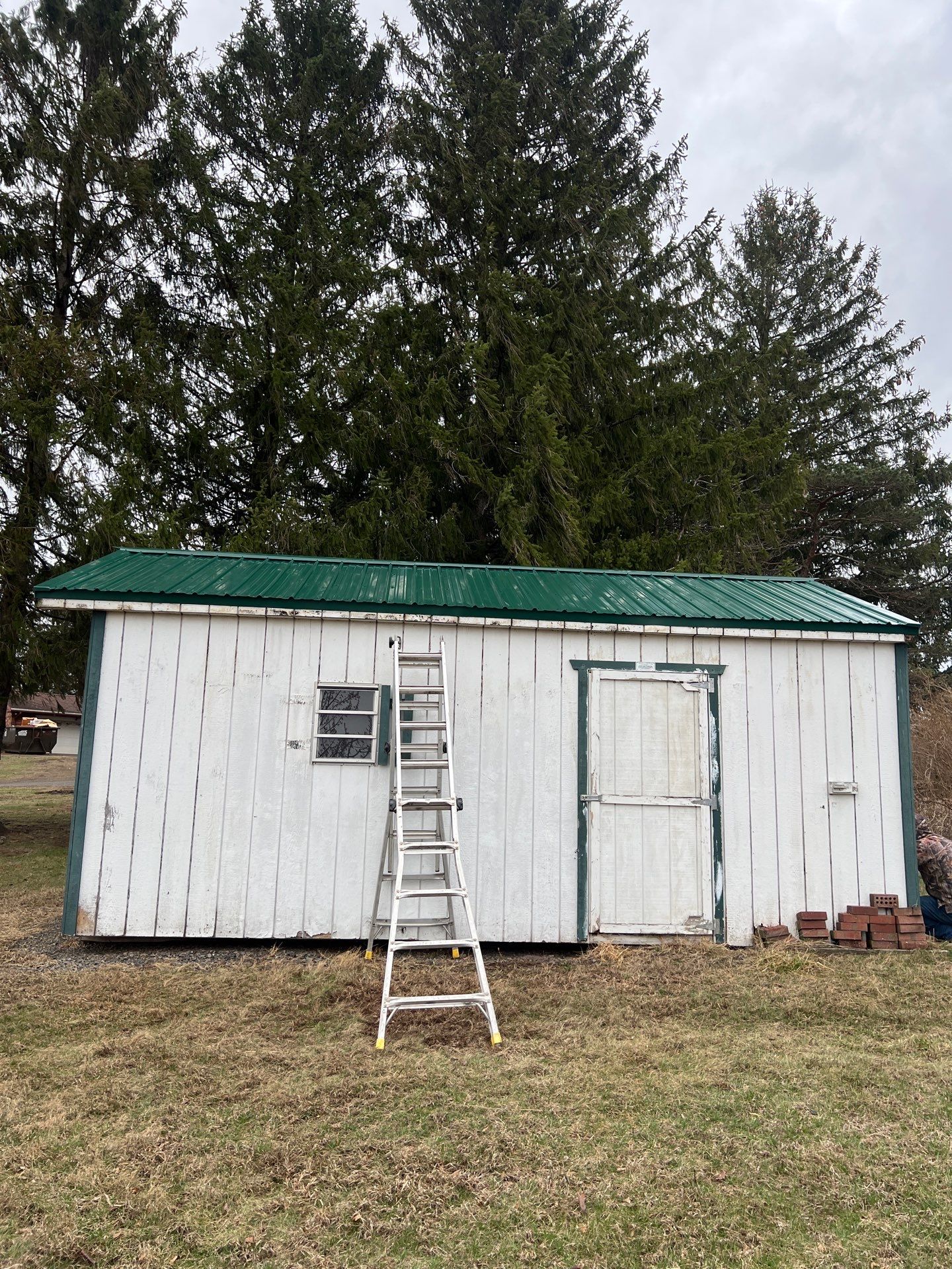 Green Metal Roof Replacement on Detached Shed in Halifax by Esh Builders