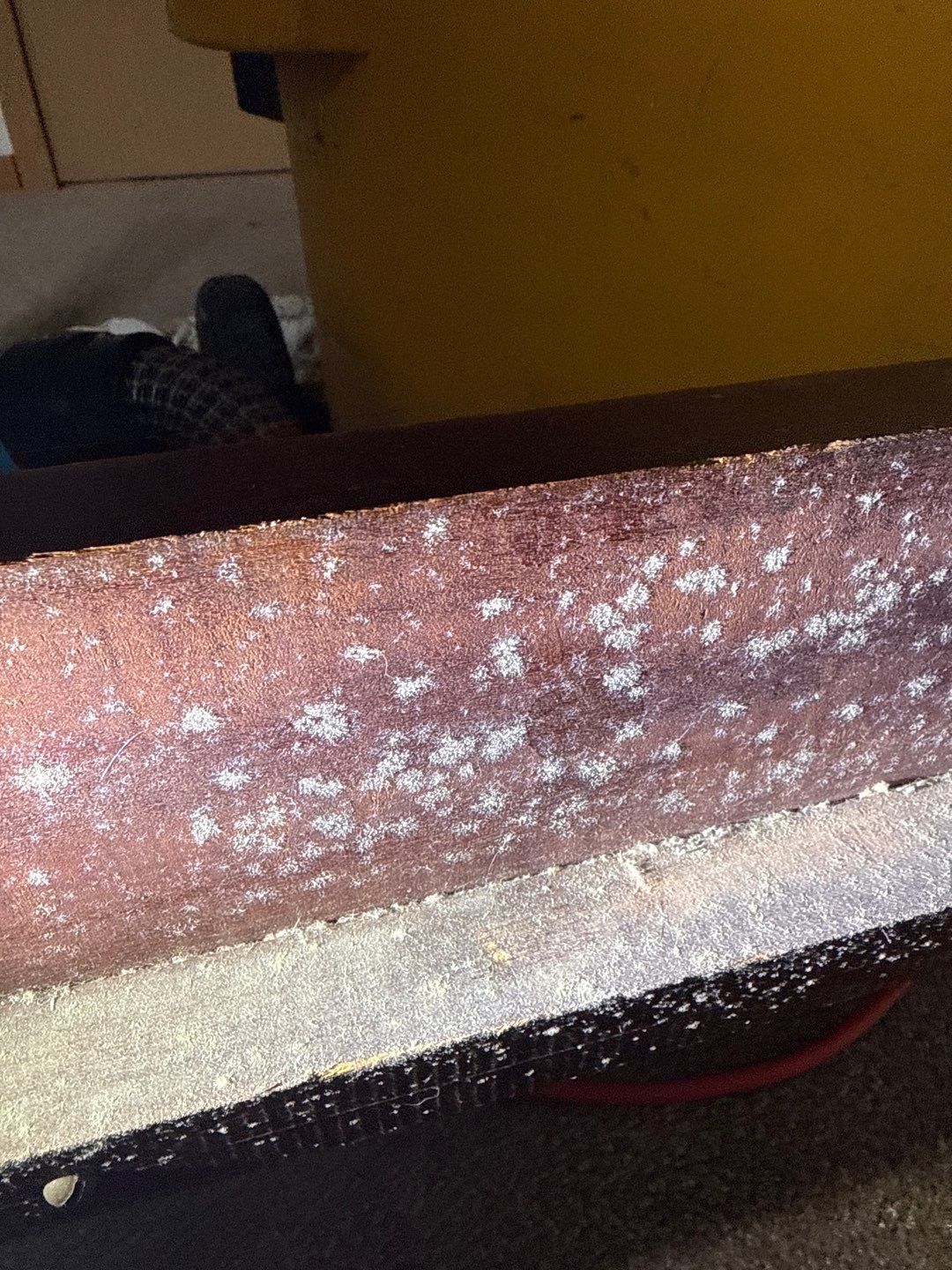 Mold Remediation & Moisture Source Discovery, Middletown, De. by Healthy Home Solutions