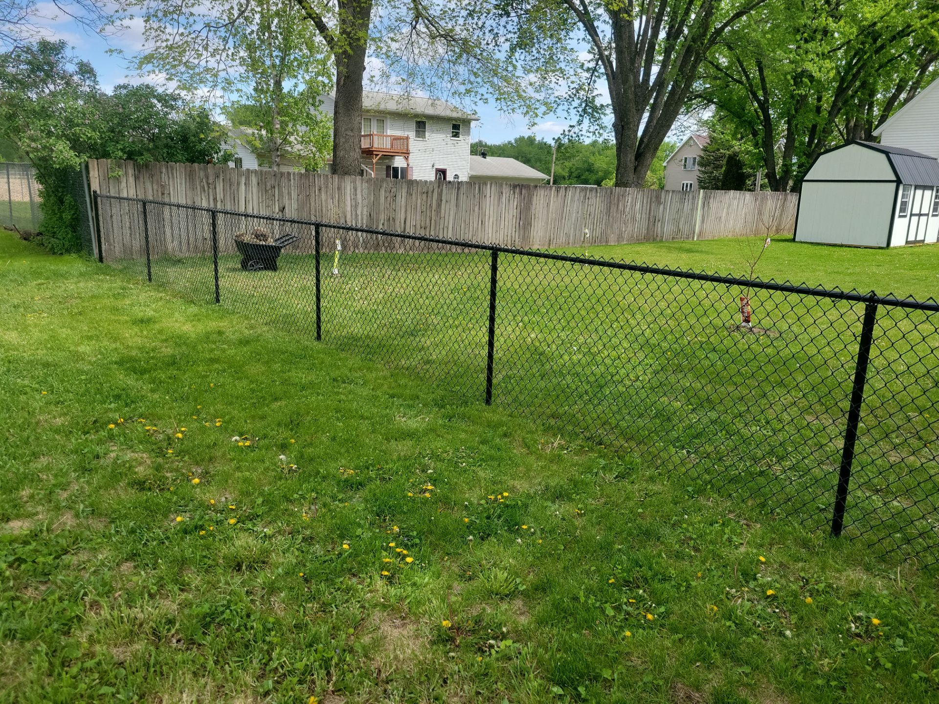 Black Chain Link Fence Installation and Gate in Traer by Perfect Picket Fence and Stain