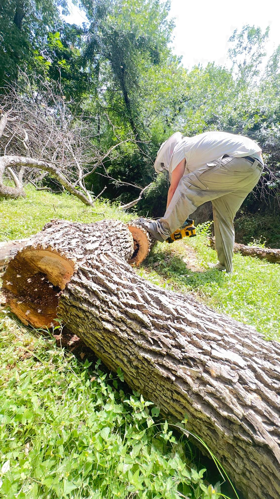 Two Trees One Yard by Rockwall Honey Bee Company