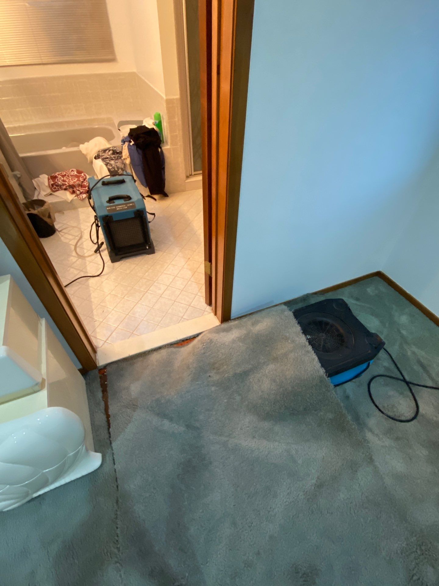 Project in Farmington Hills by EzDry Water Mitigation & Property Restoration