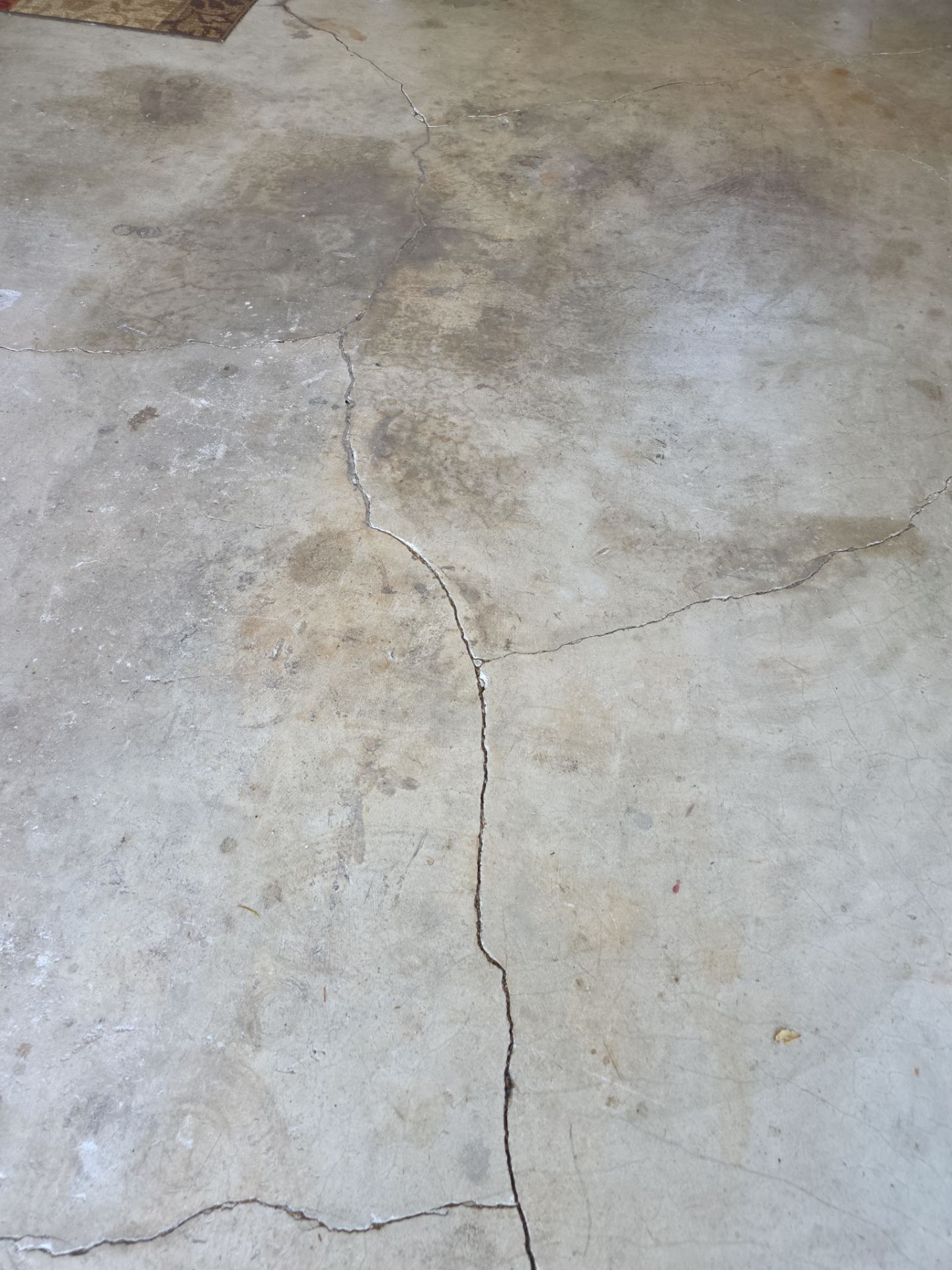 Polyurea Garage Floor Coating with Cabin Fever Decorative Chips in Cambria by MGP Coatings