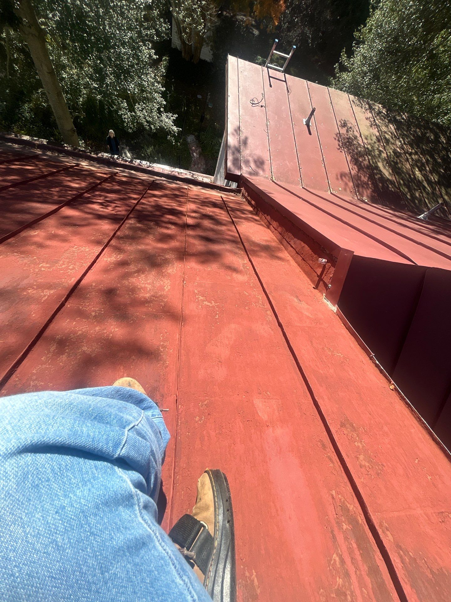 Alexandra: Residential Metal Roofing  by RM Banning, Inc.