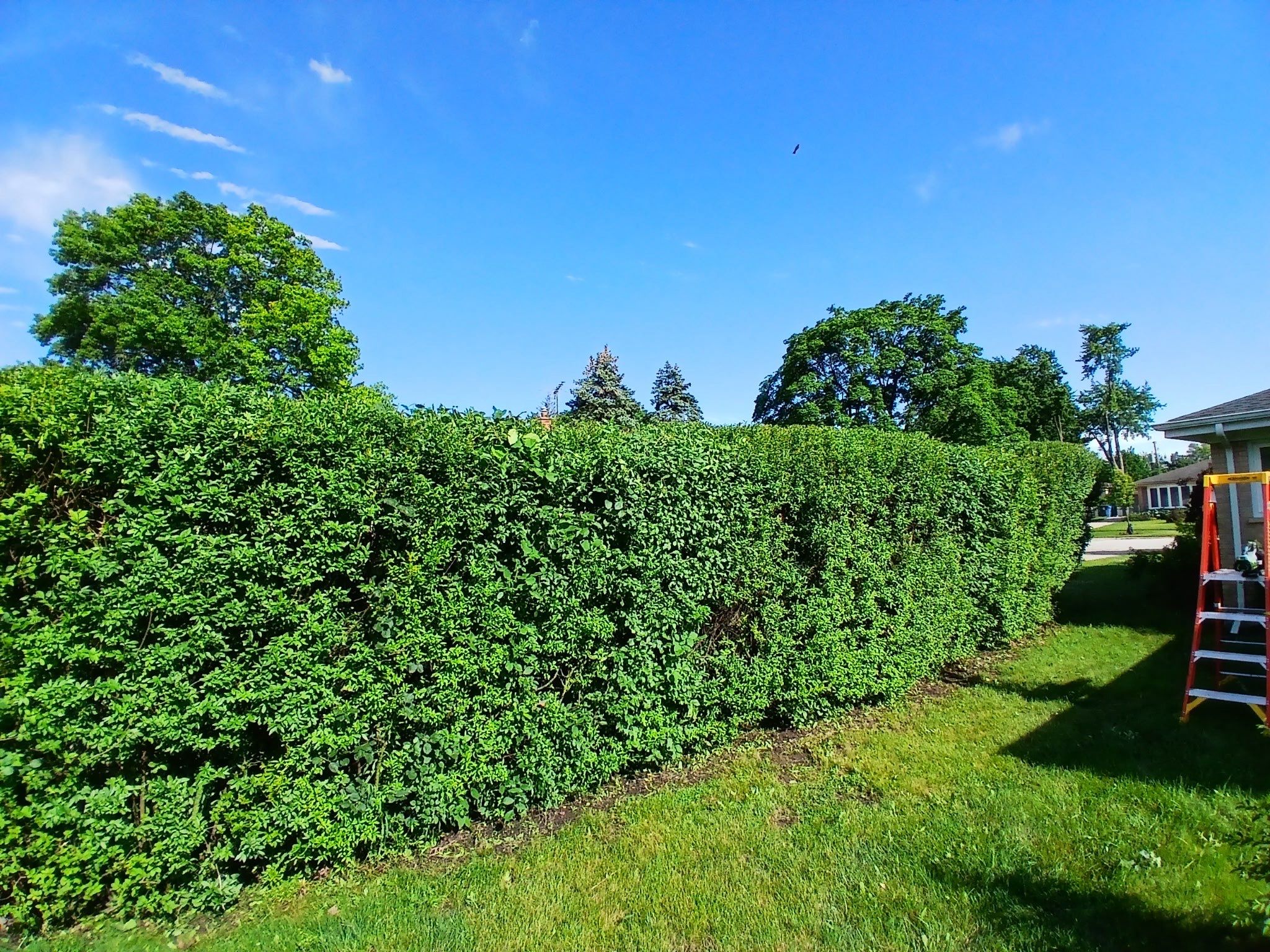 Pamela D. - Mount Prospect, IL by A&N
