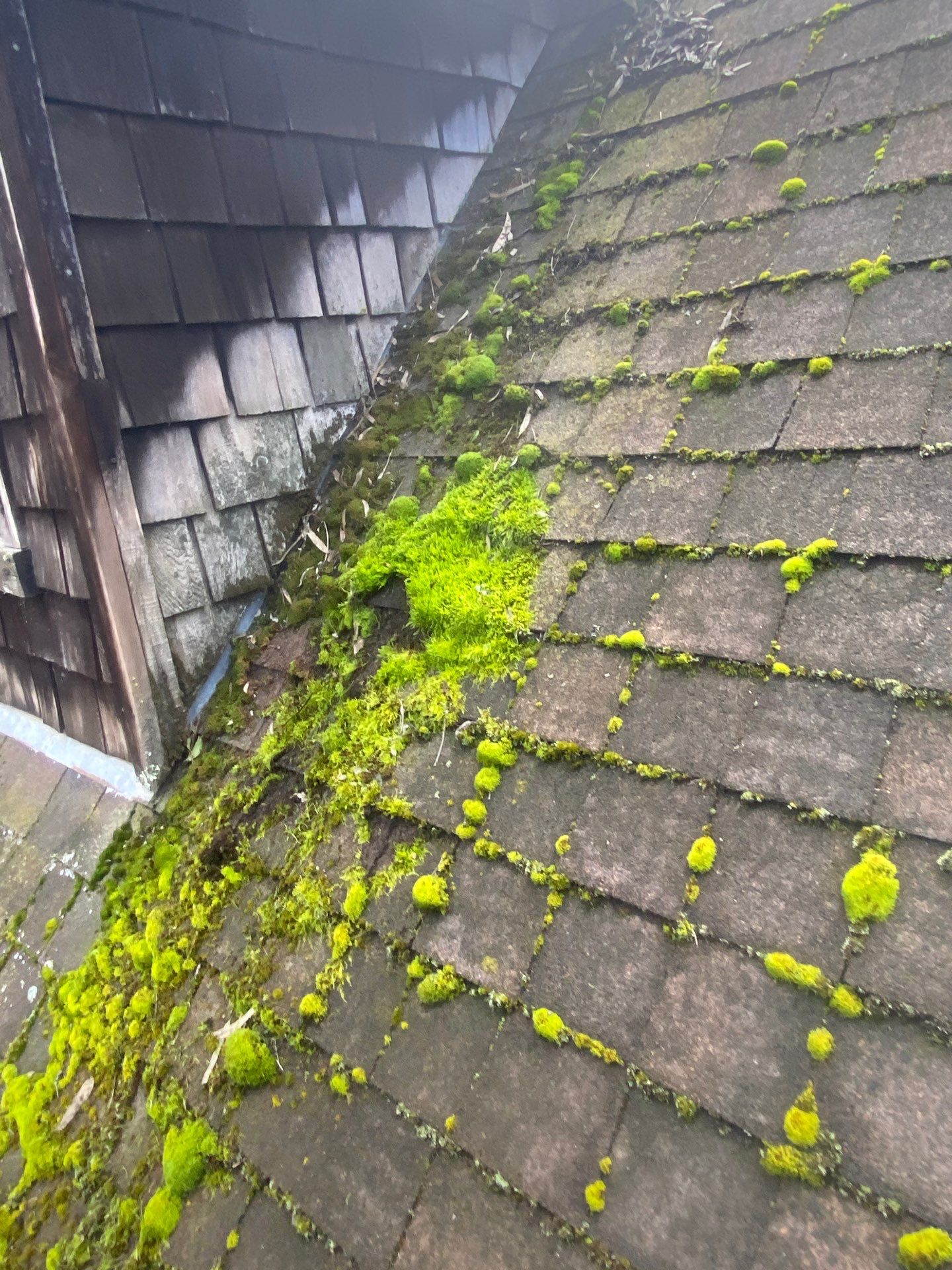 Roof Rejuvenation using Roof Maxx Treatment by Roof Maxx of Folsom