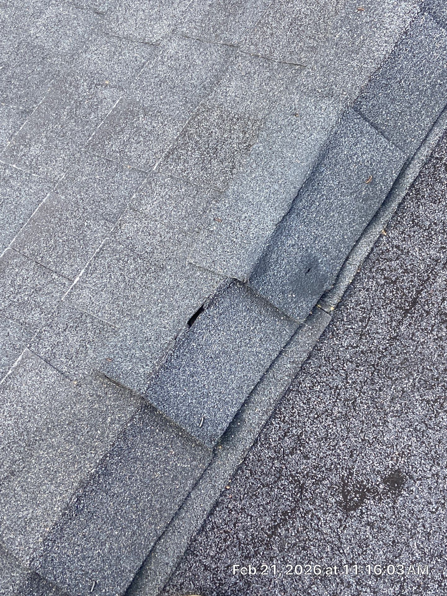 Roof Rejuvenation using Roof Maxx Treatment by Roof Maxx of Folsom