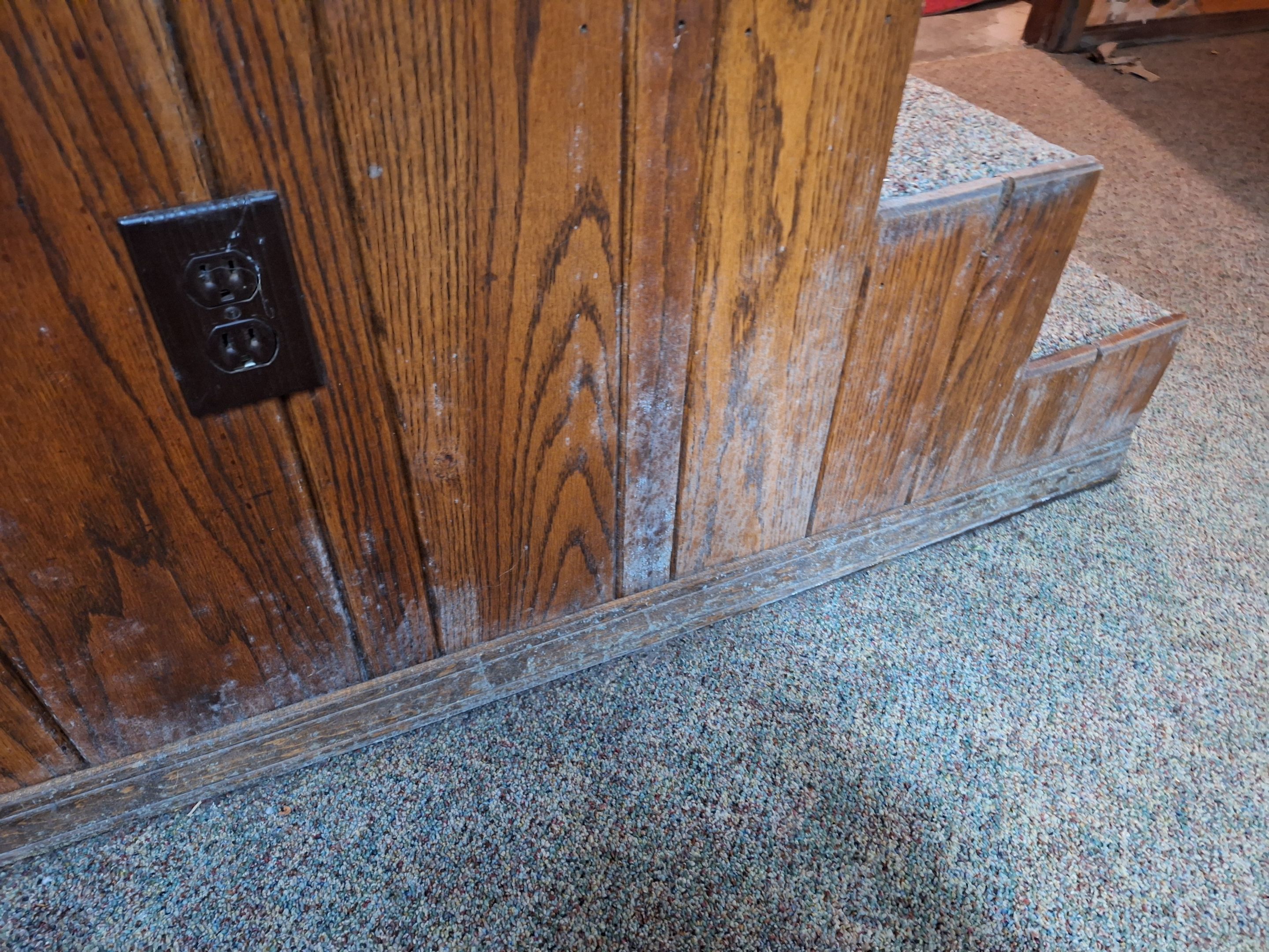 Basement Mold Remediation from Flooding by ANR Restoration